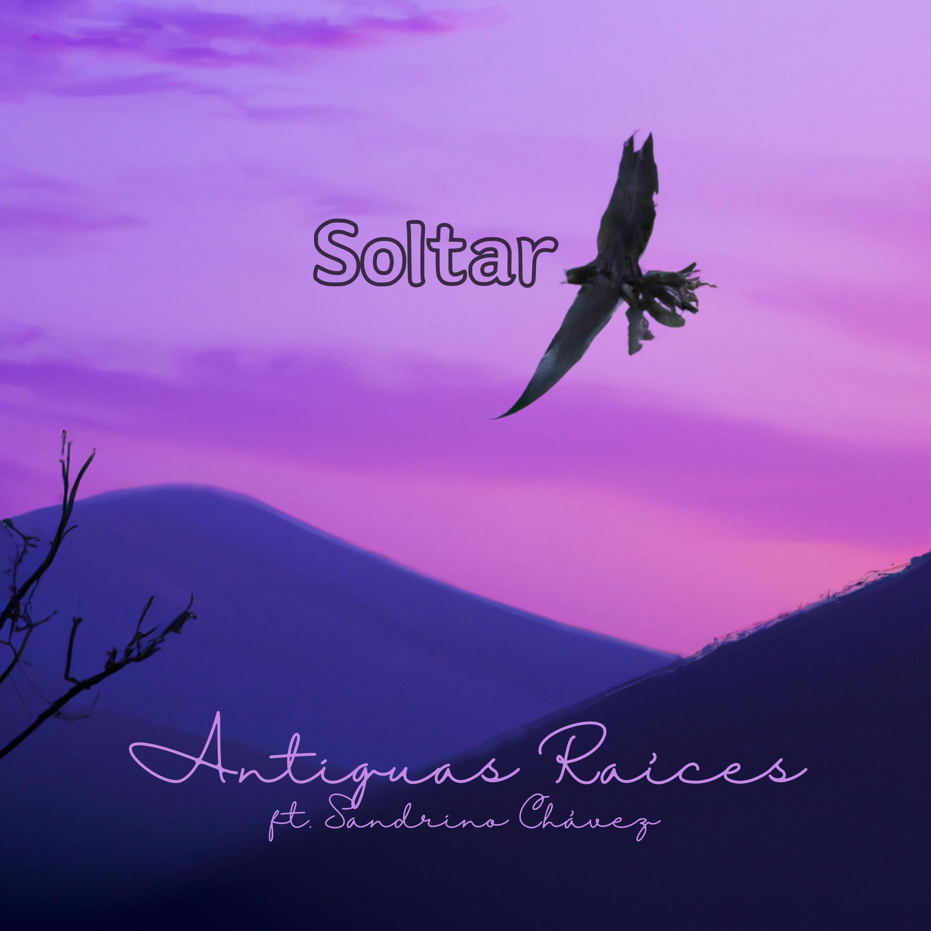 Постер альбома Soltar