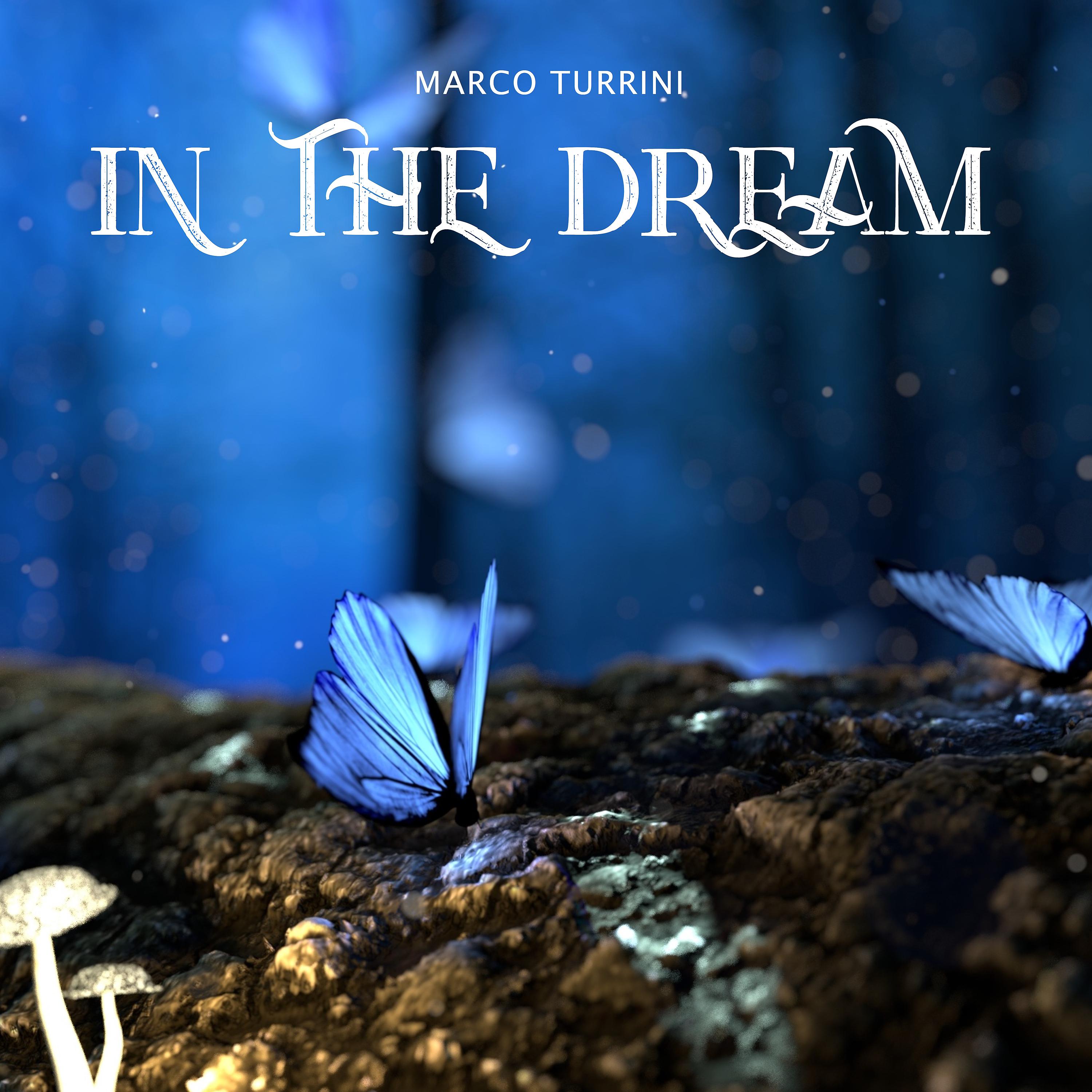 Постер альбома In the Dream