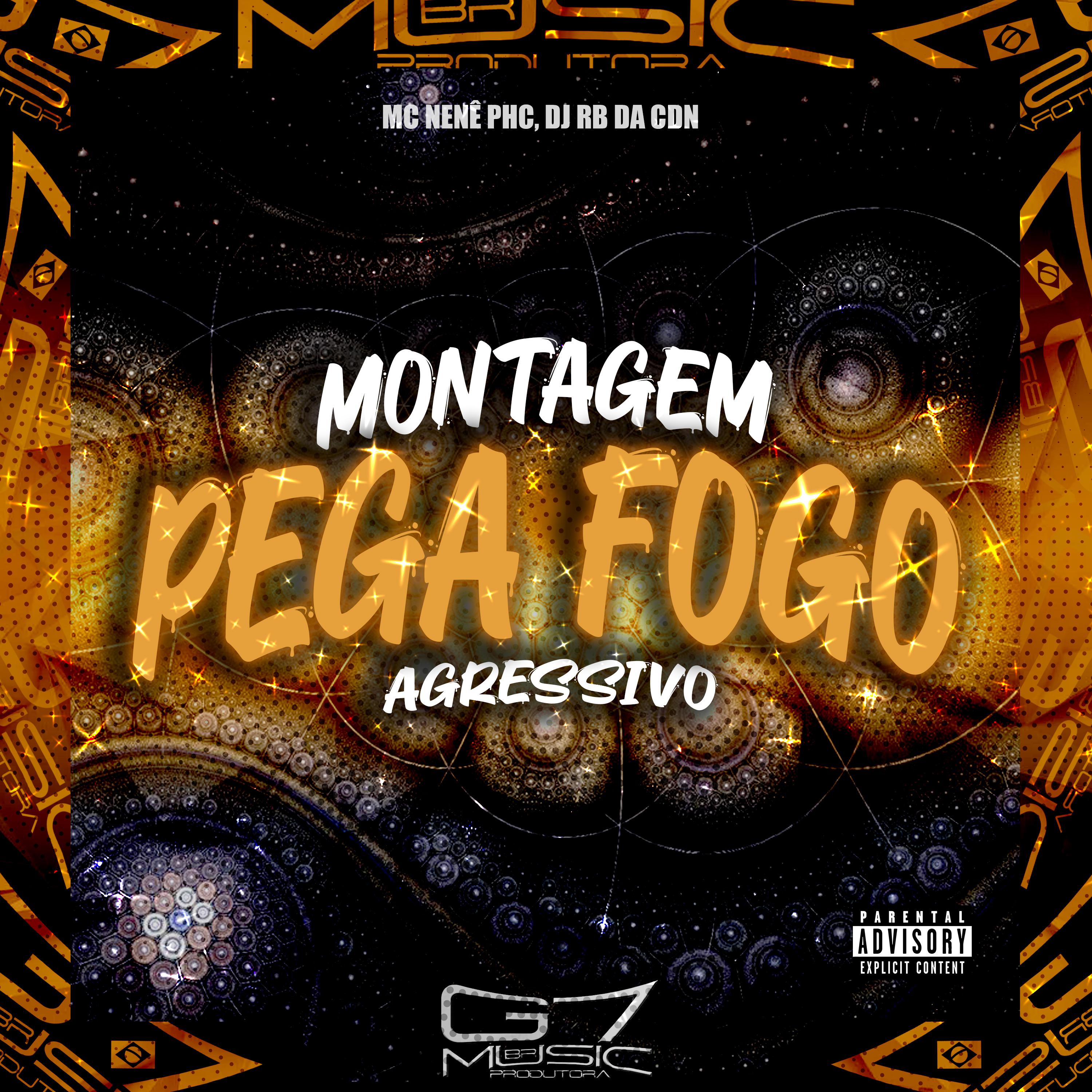 Постер альбома Montagem Pega Fogo Agressivo