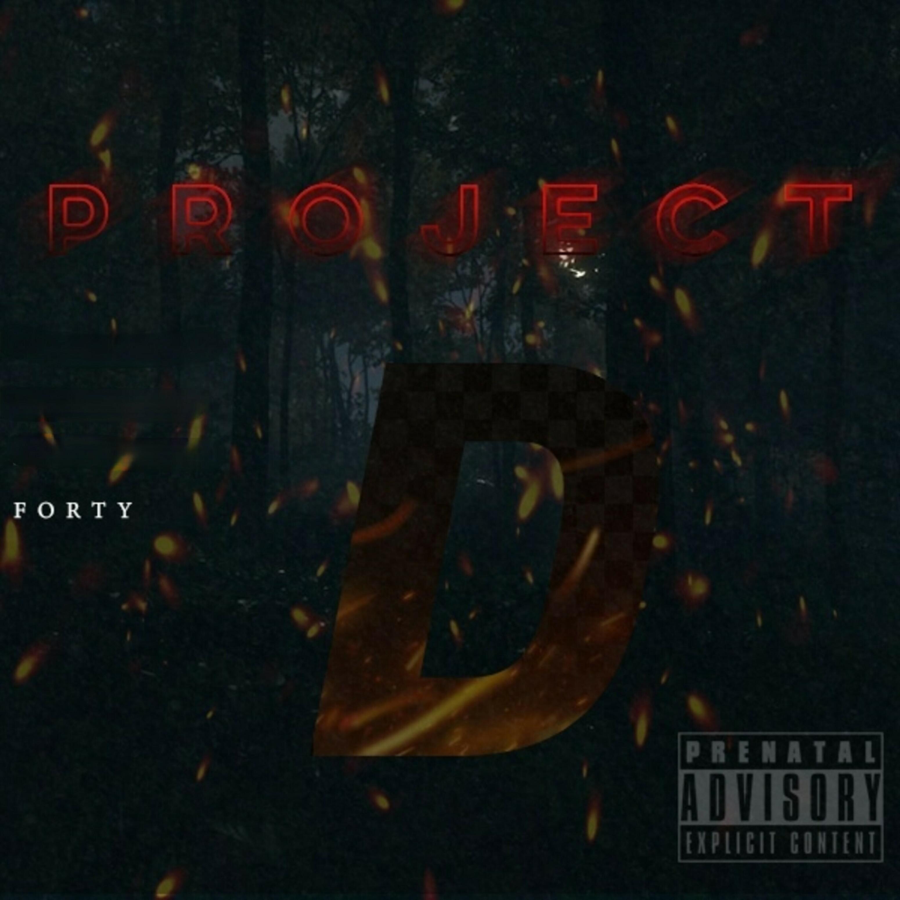 Постер альбома Project D