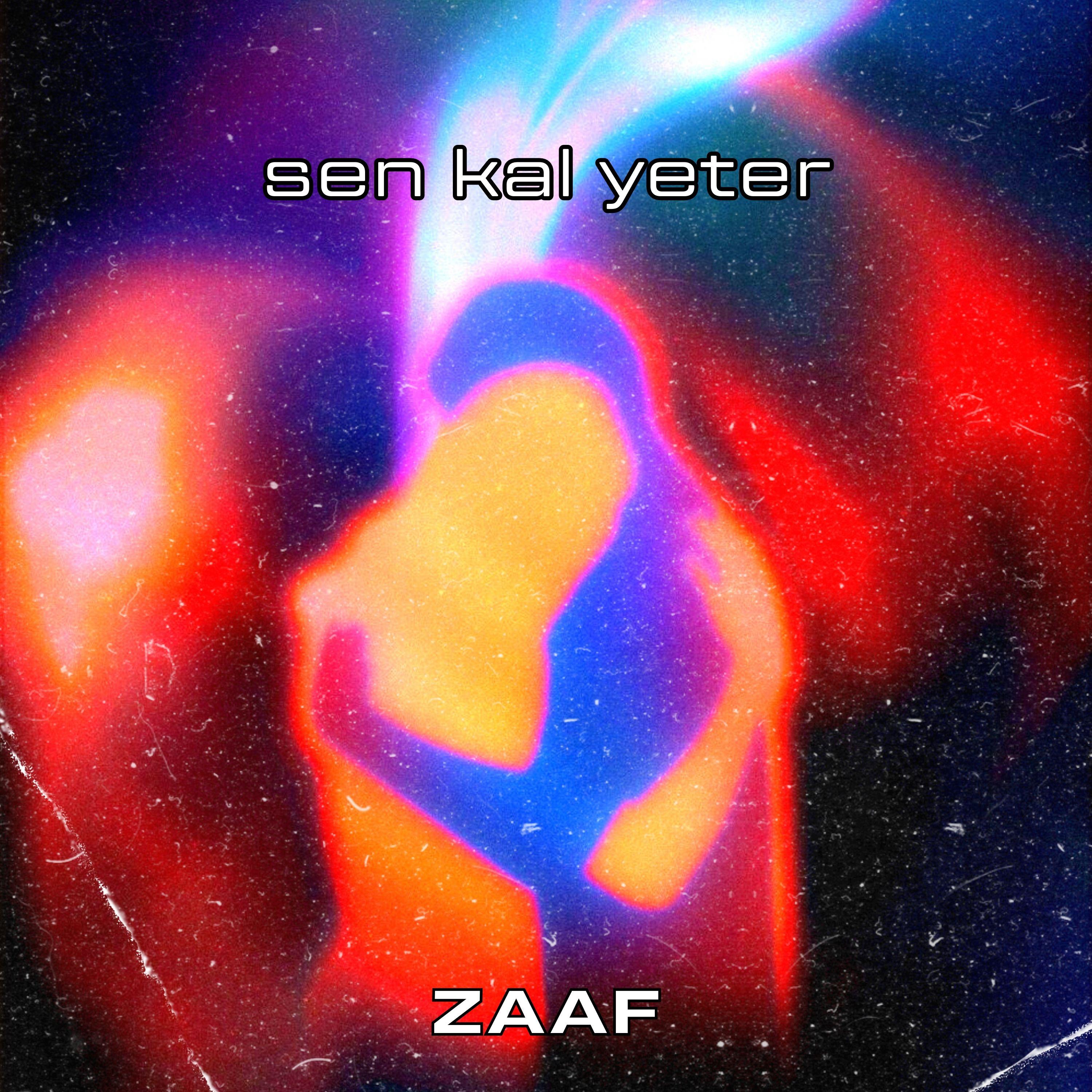 Постер альбома Sen Kal Yeter