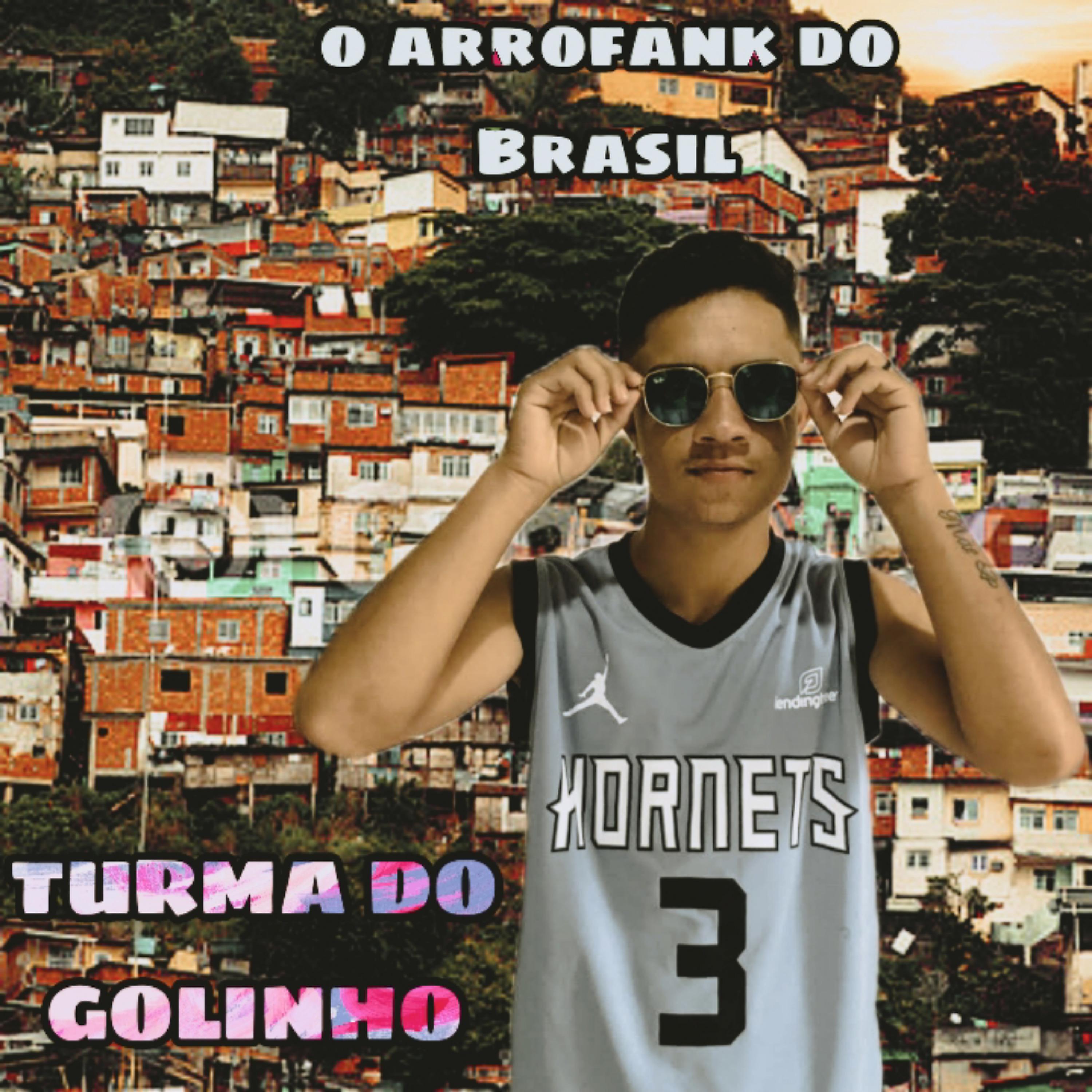 Постер альбома O Arrofank do Brasil