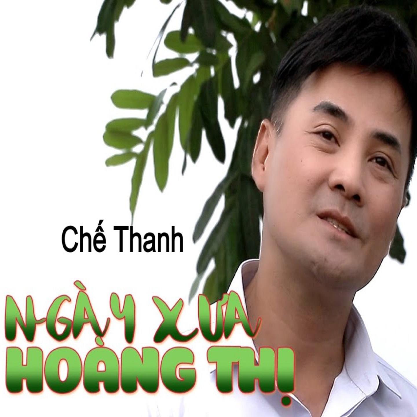 Постер альбома Ngày Xưa Hoàng Thị