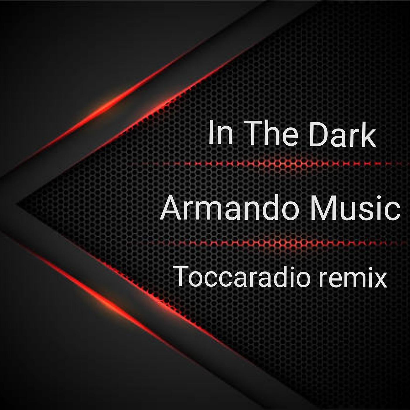 Постер альбома In the Dark (Toccaradio Remix)