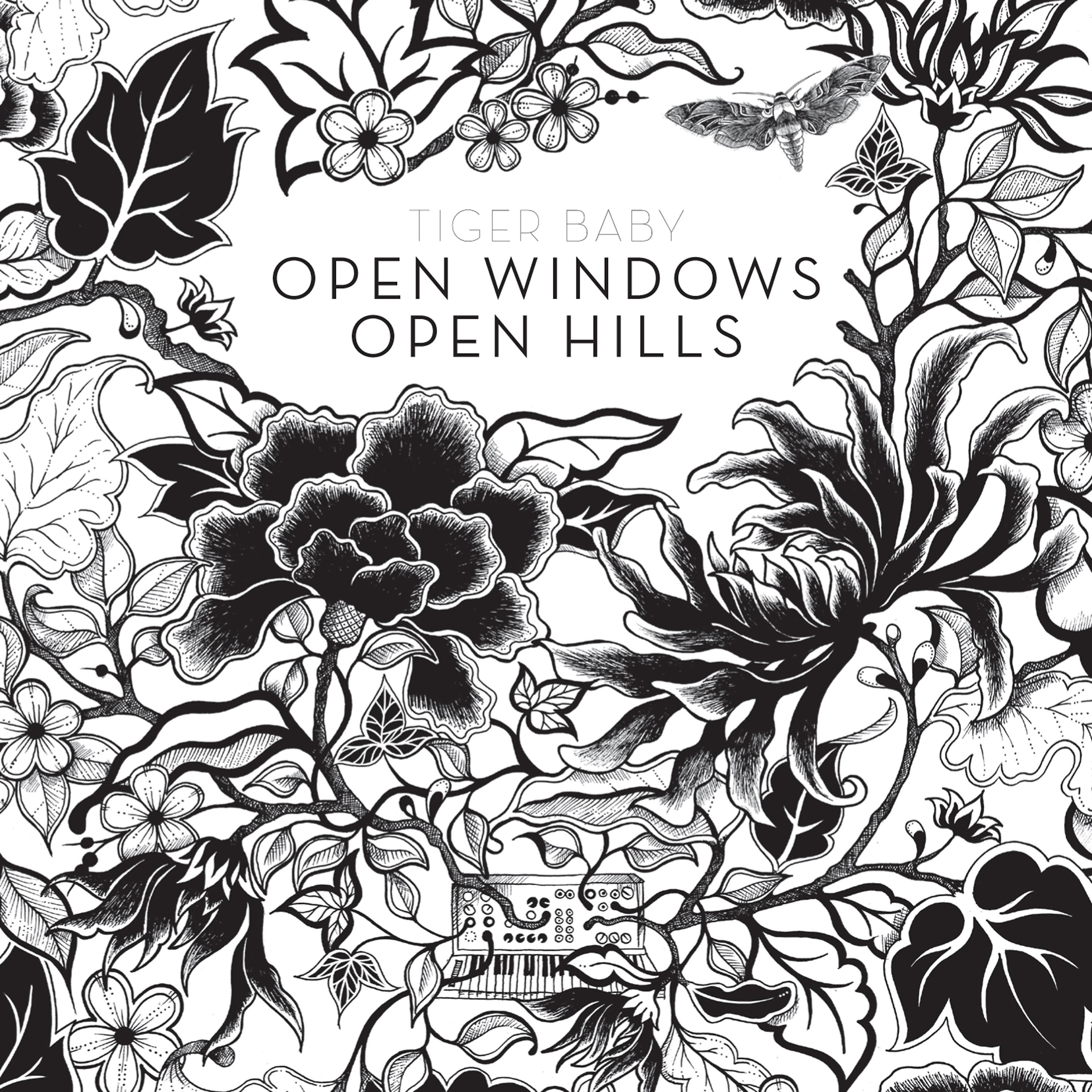 Постер альбома Open Windows Open Hills