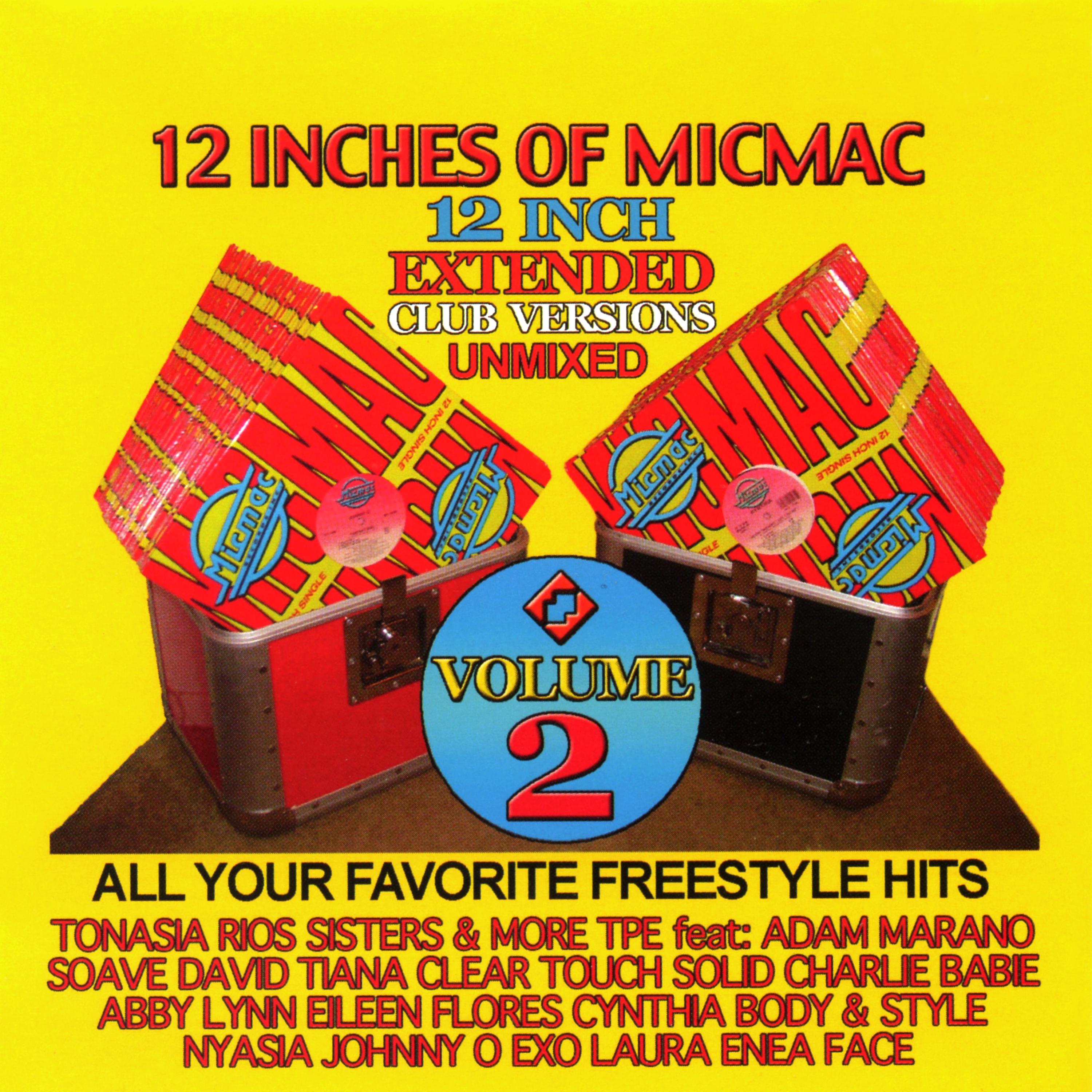 Постер альбома 12 Inches of Micmac, Vol. 2