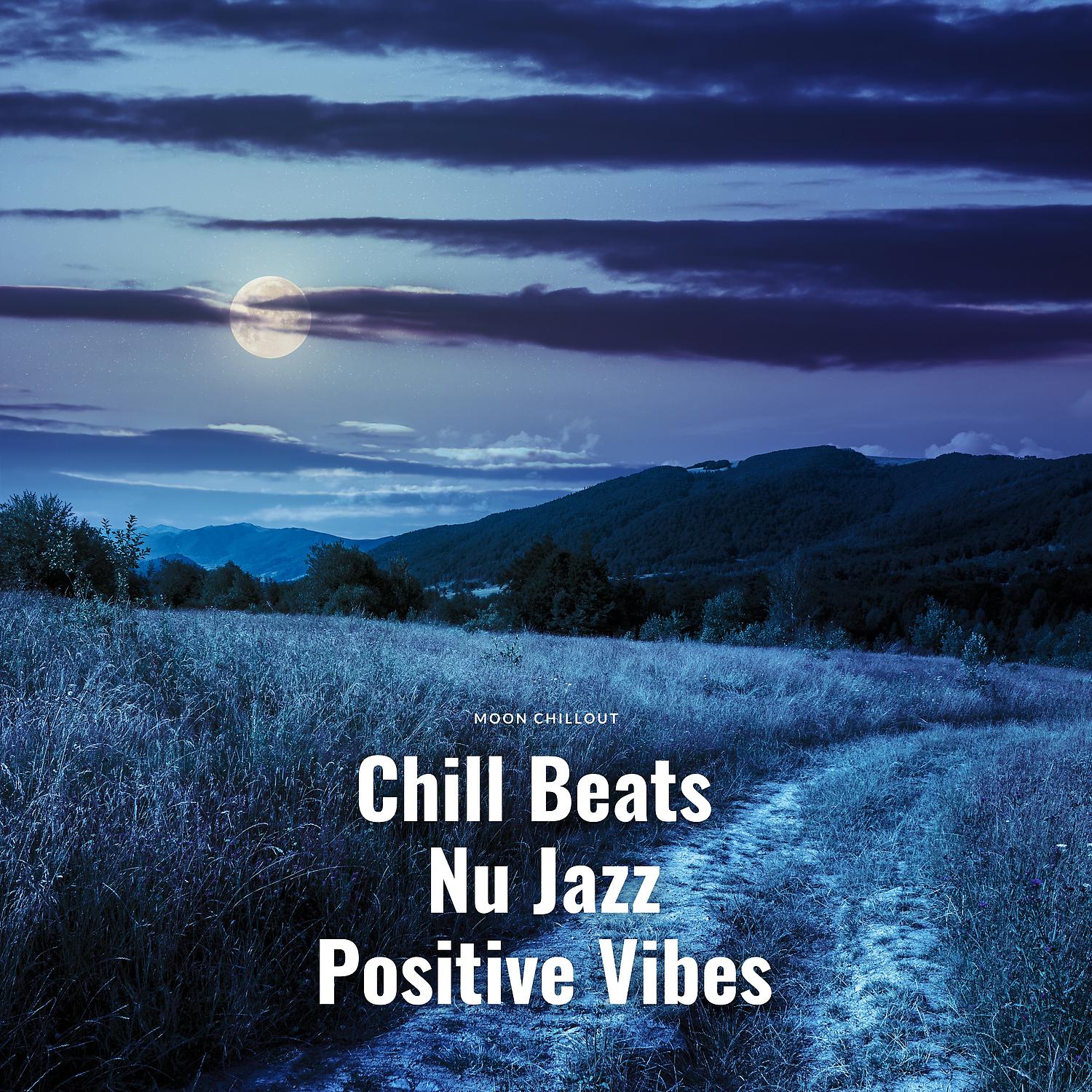 Постер альбома Chill Beats Nu Jazz Positive Vibes