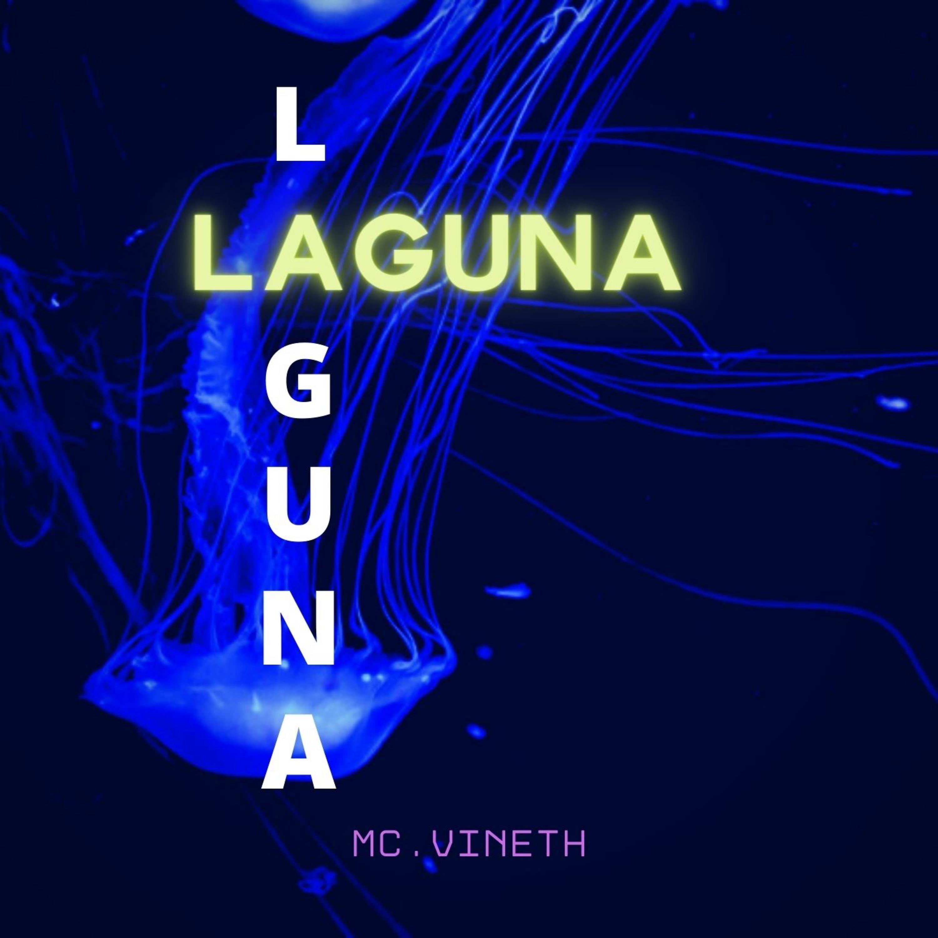 Постер альбома Laguna