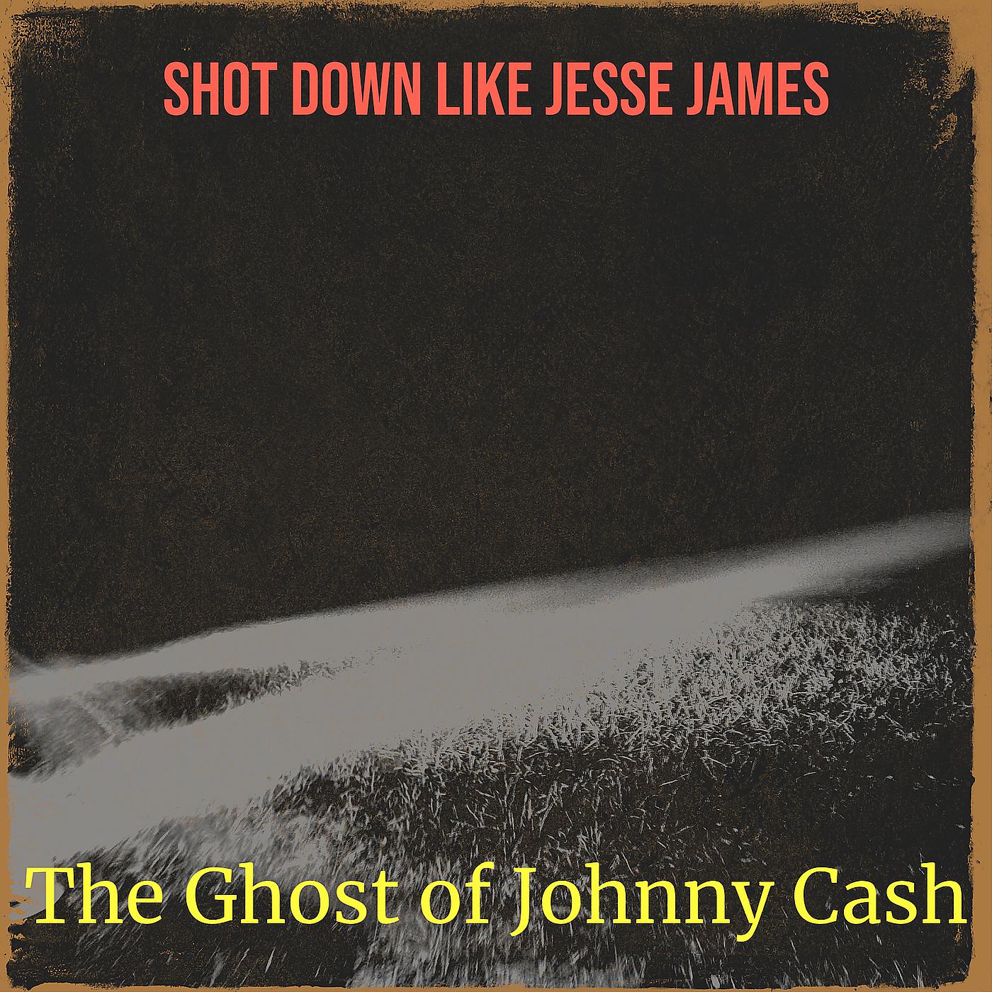 Постер альбома Shot Down Like Jesse James