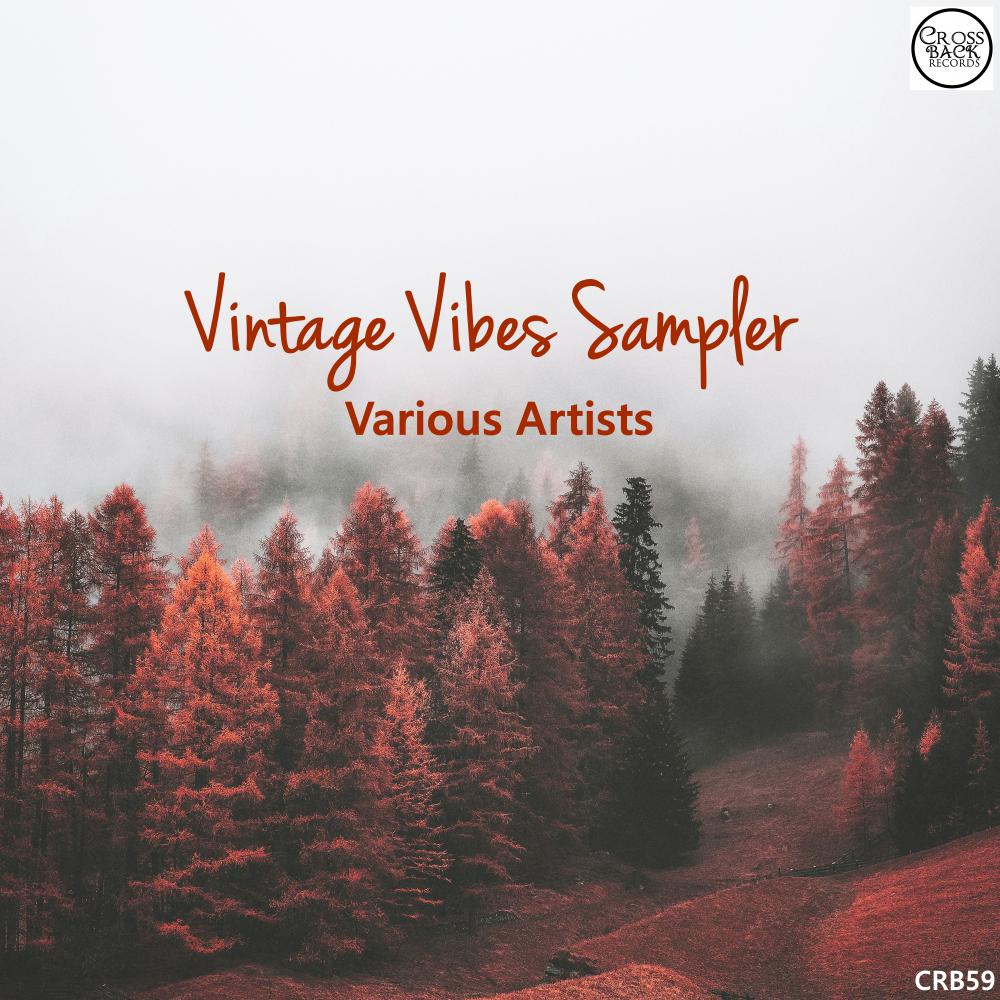 Постер альбома Vintage Vibes Sampler