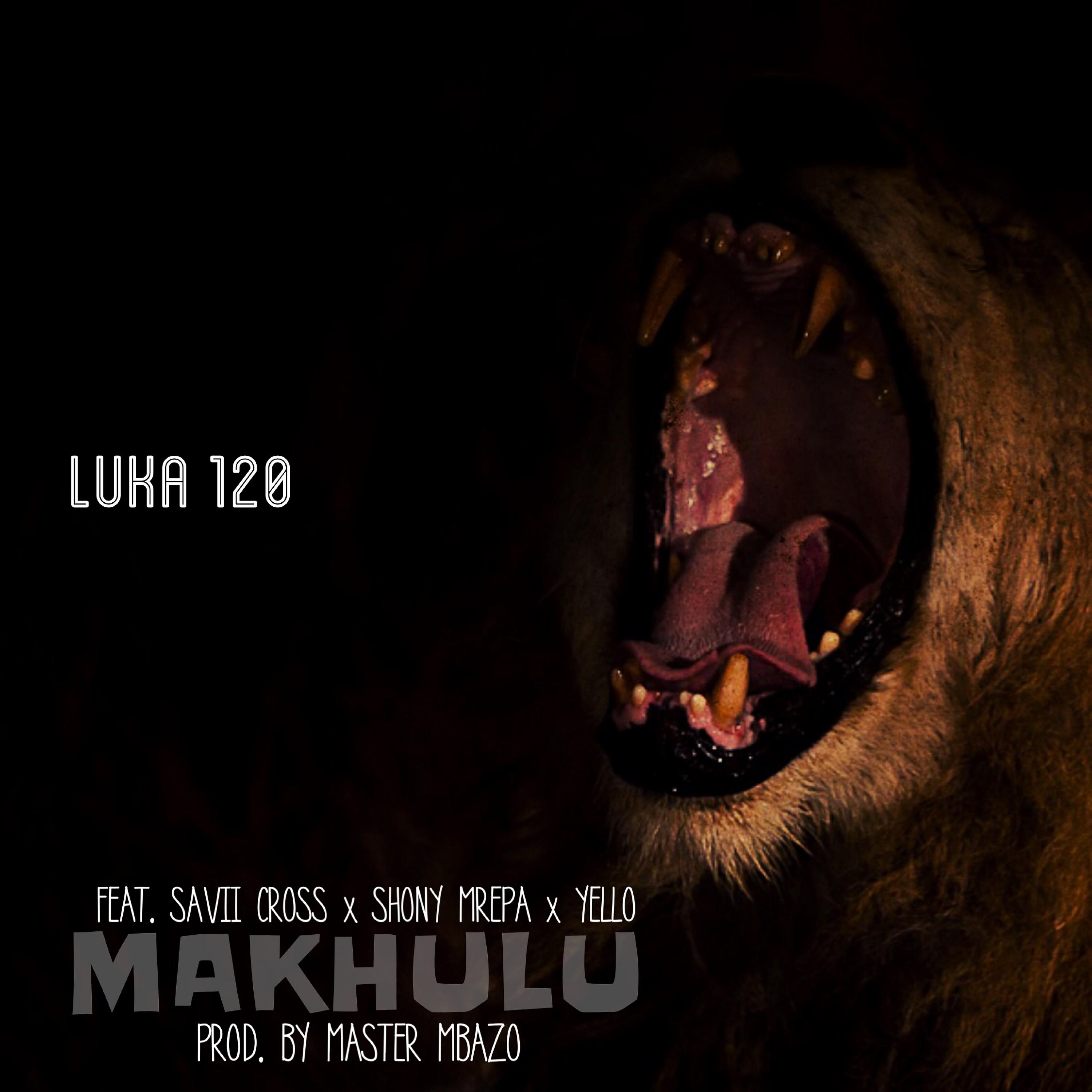 Постер альбома Makhulu (feat. Savii Cross, Shony Mrepa & Yello)