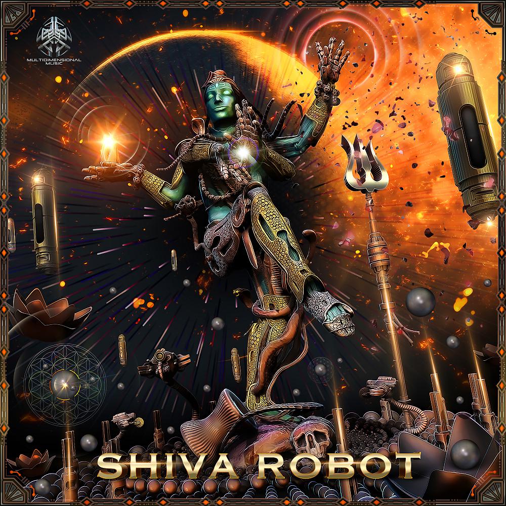 Постер альбома Shiva Robot