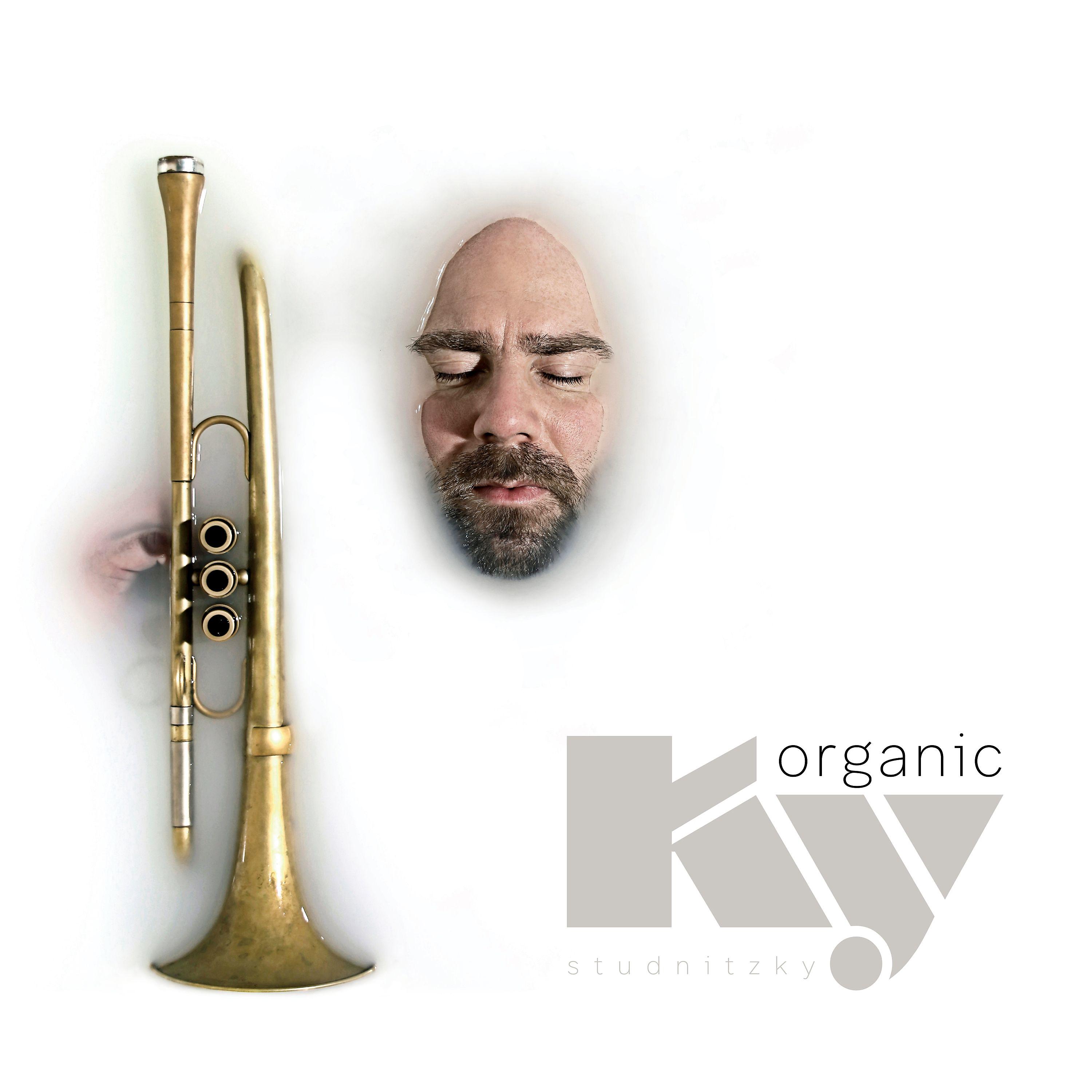 Постер альбома Ky-Organic