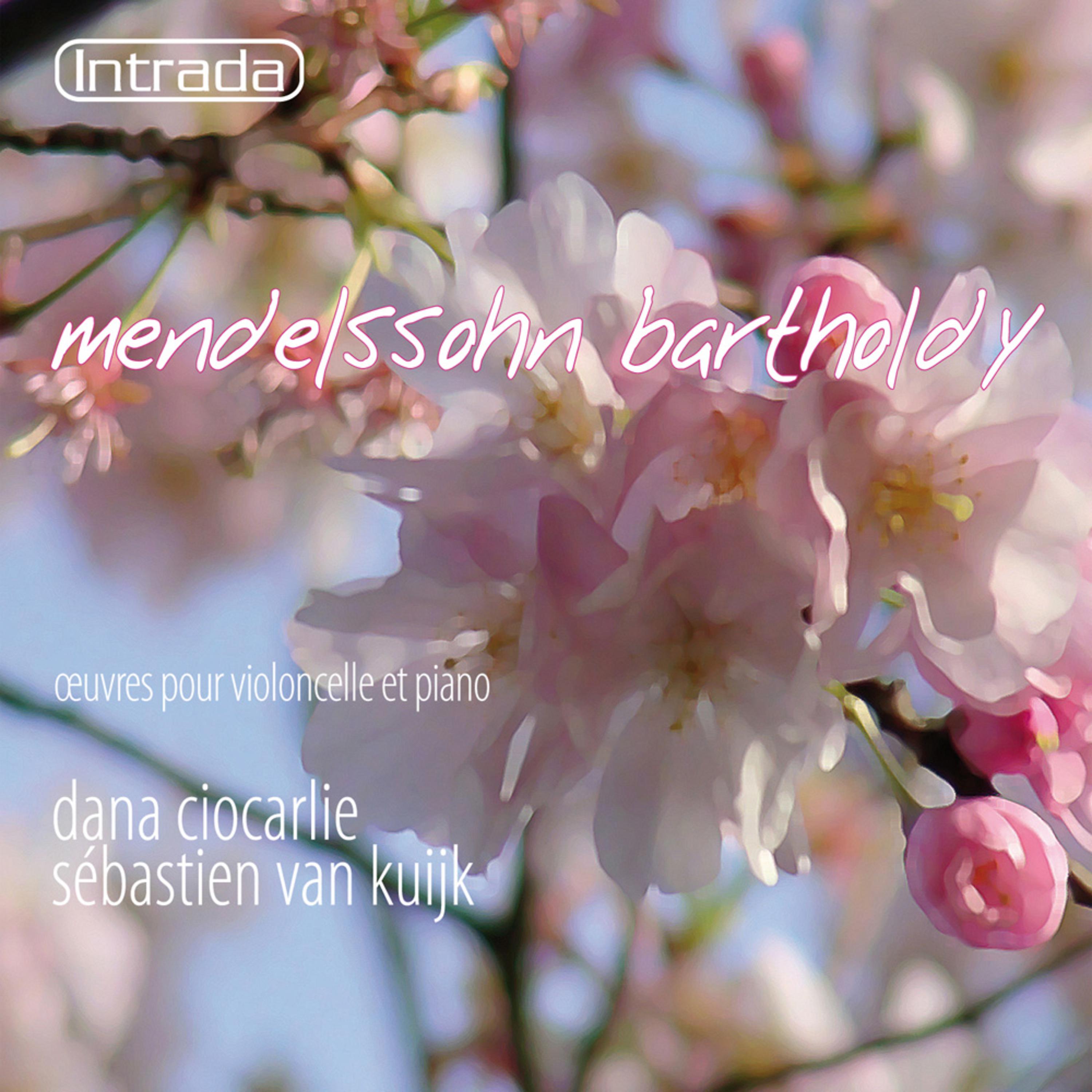 Постер альбома Mendelsshon: Oeuvres pour violoncelle et piano