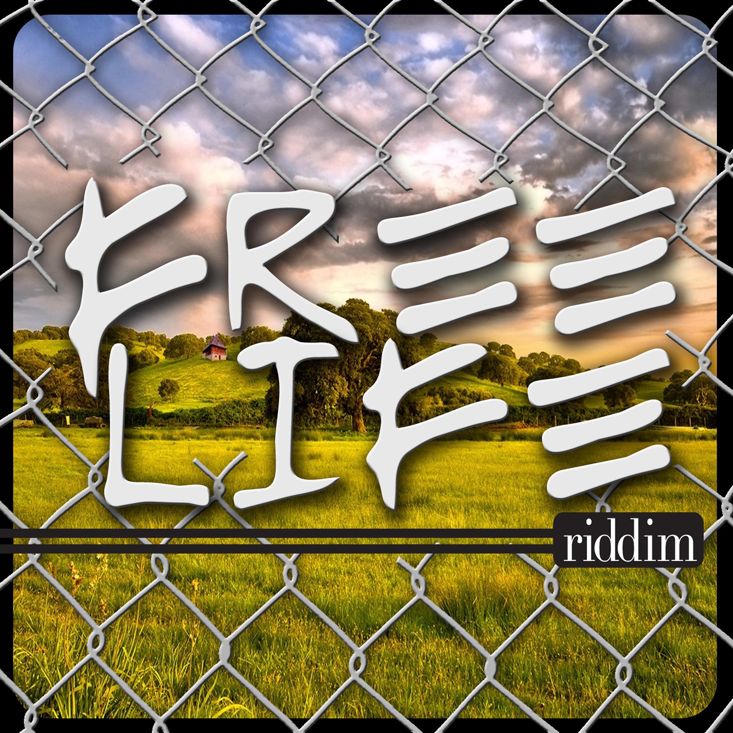 Постер альбома Free Life Riddim
