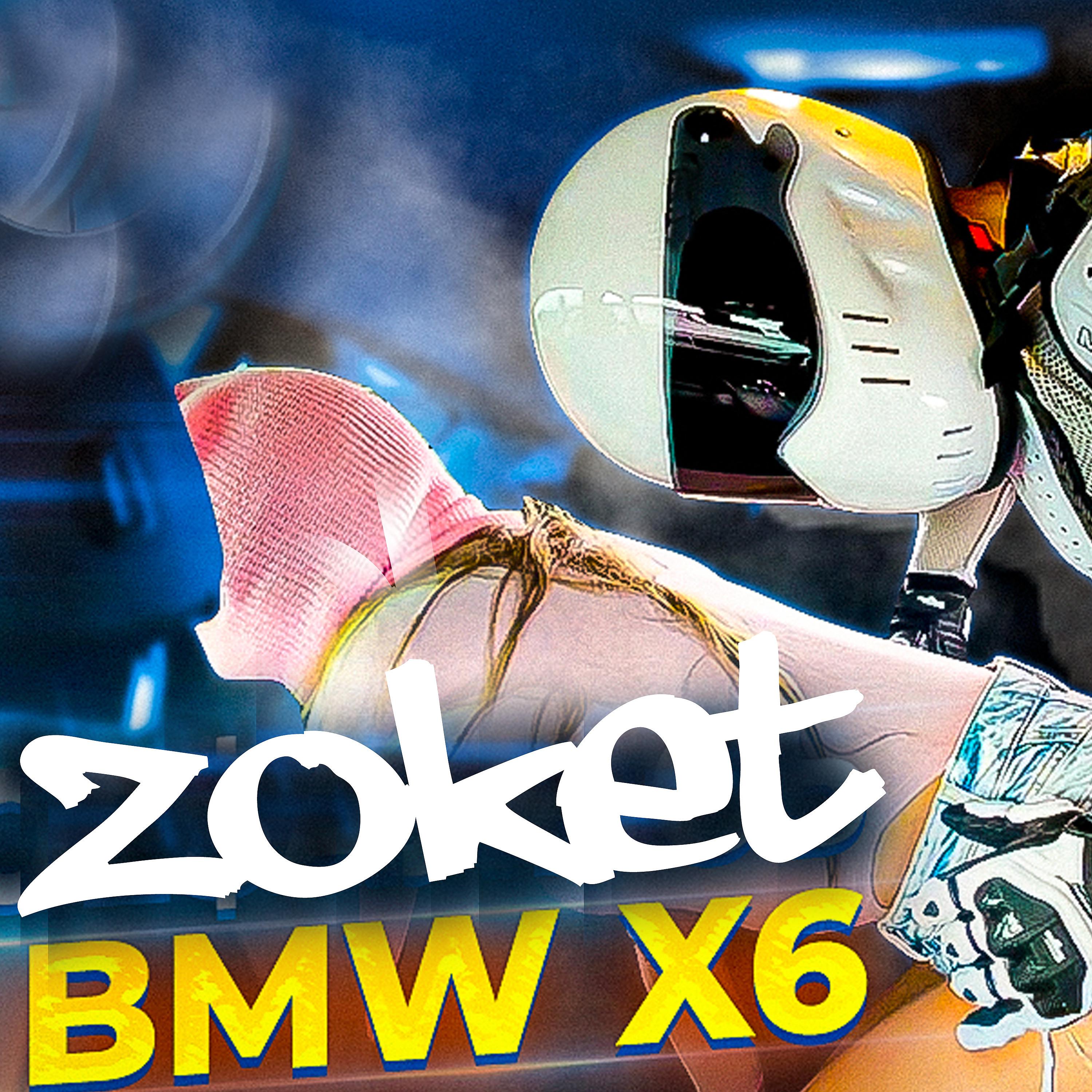 Постер альбома BMW X6