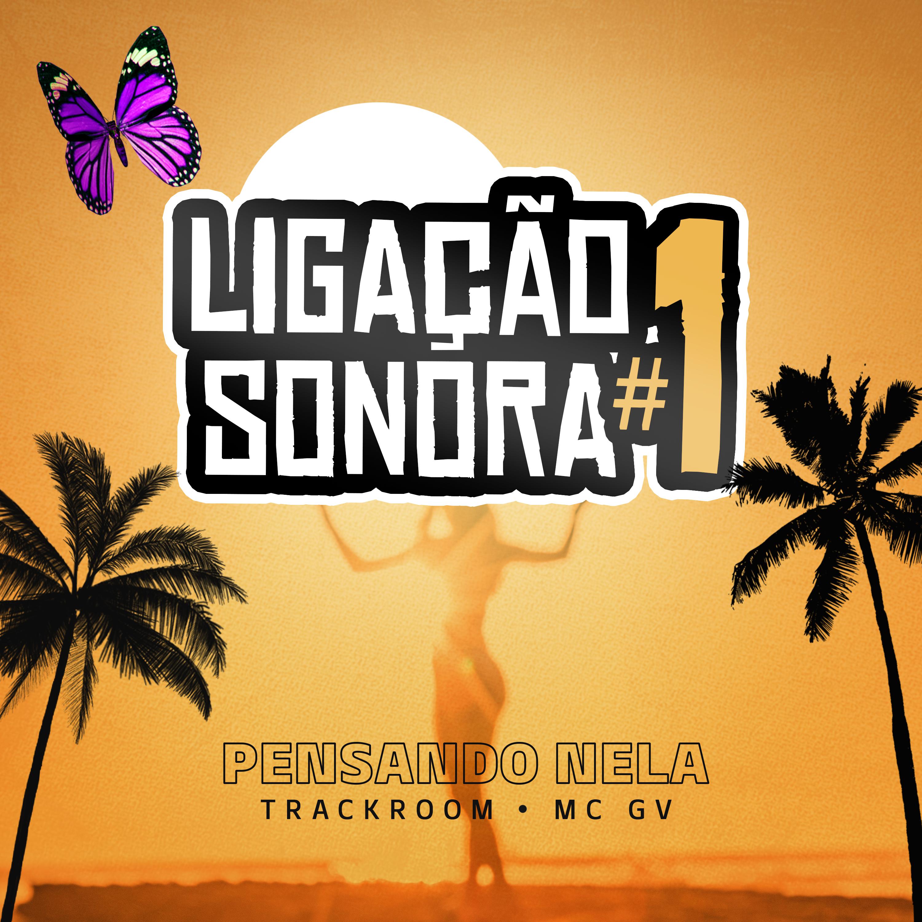 Постер альбома Ligação Sonora #1: Pensando Nela