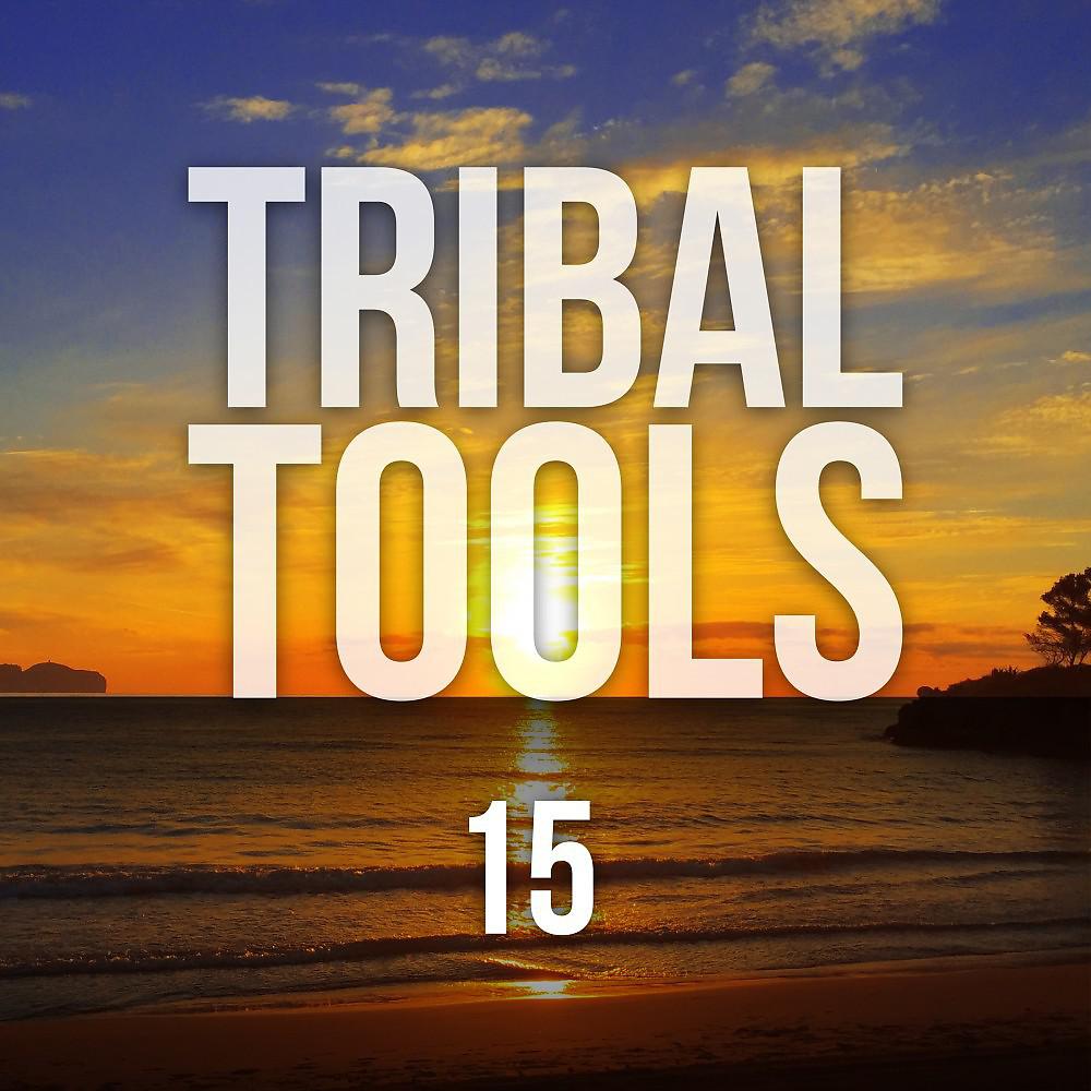 Постер альбома Tribal Tools, Vol. 15
