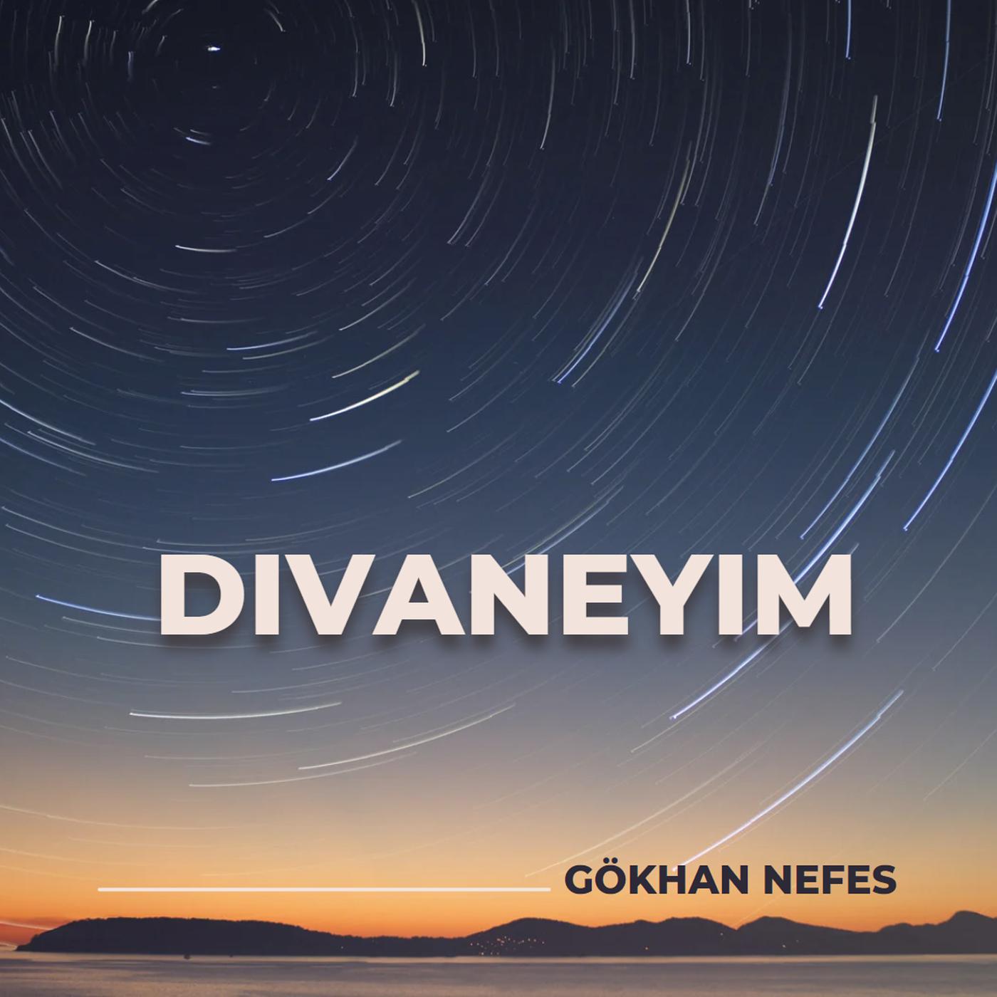 Постер альбома Divaneyim