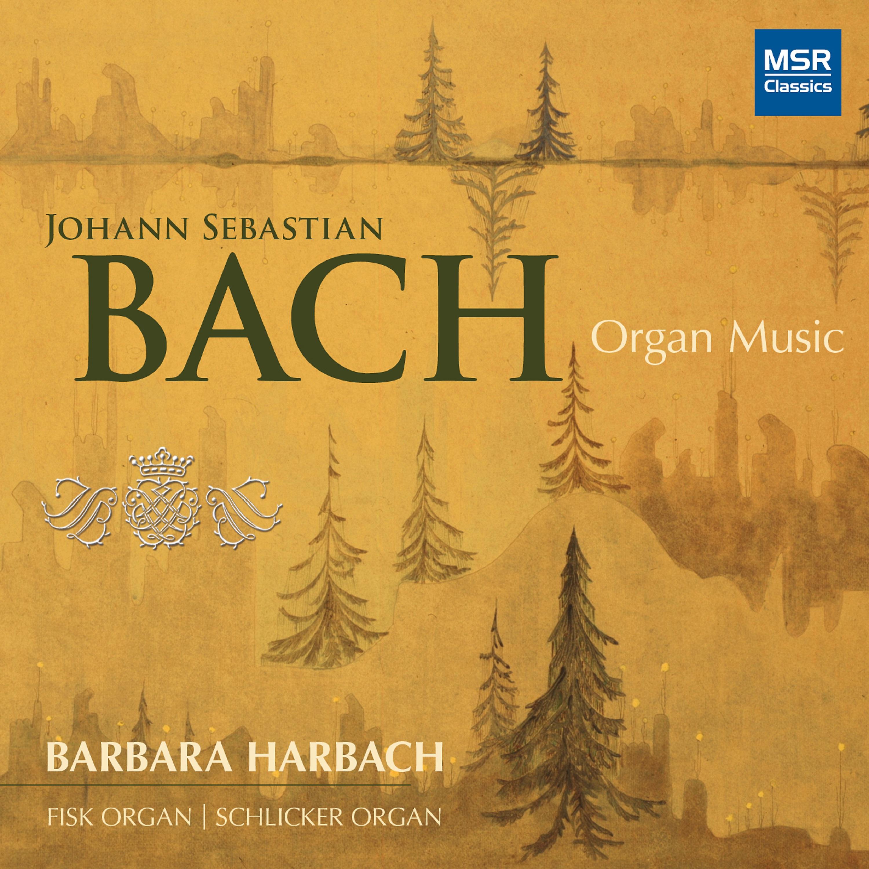 Постер альбома Johann Sebastian Bach: Organ Music