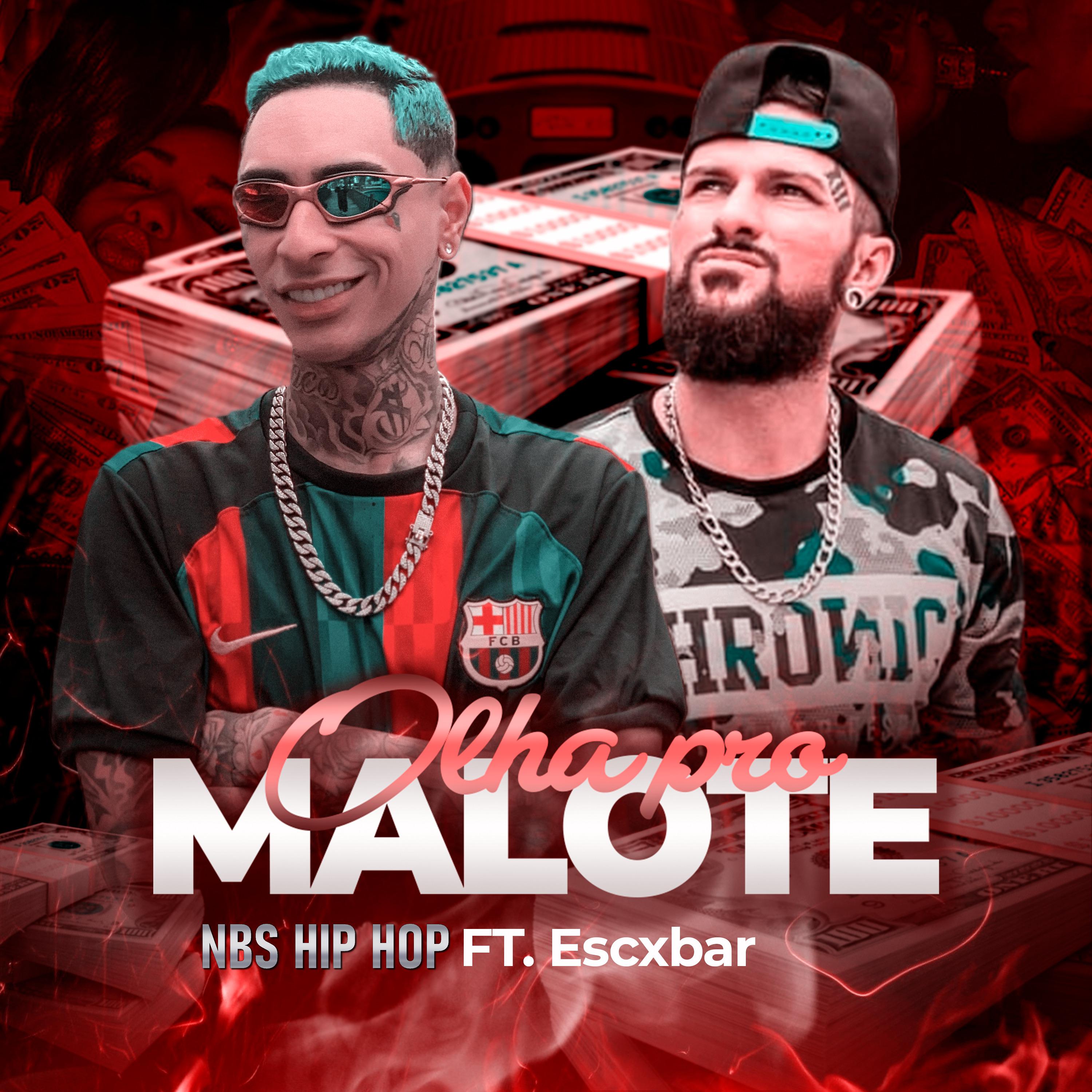 Постер альбома Olha pro Malote