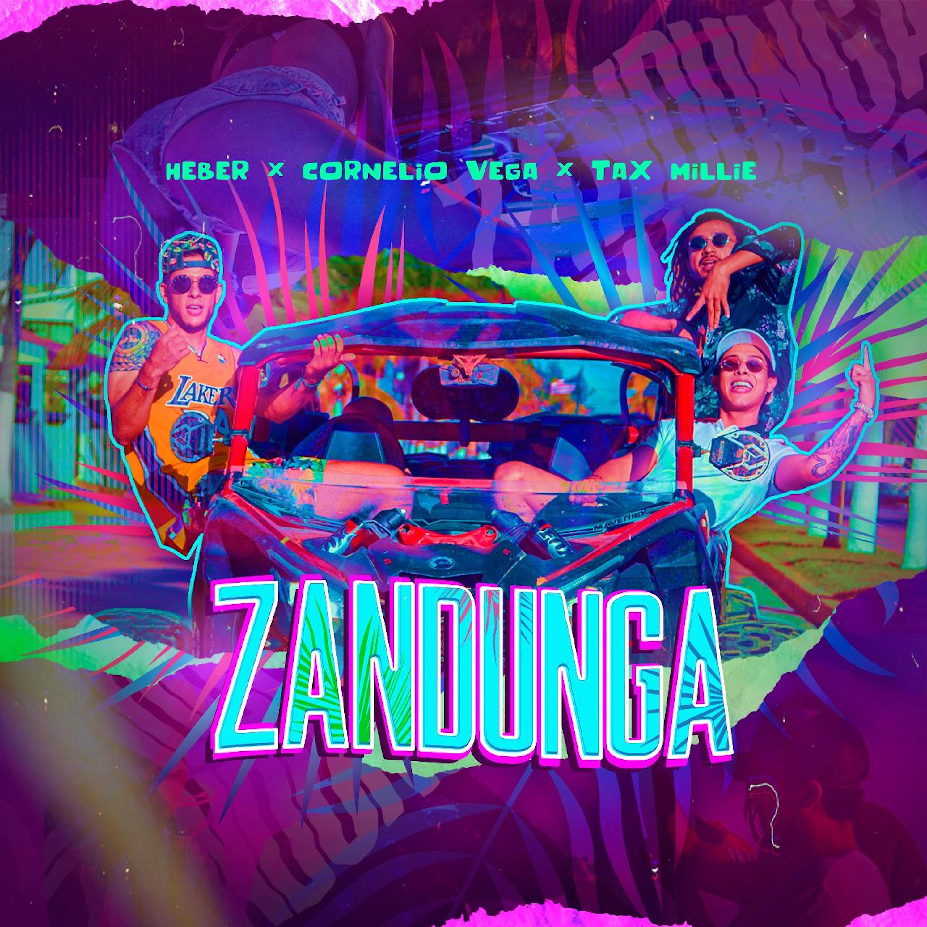 Постер альбома Zandunga