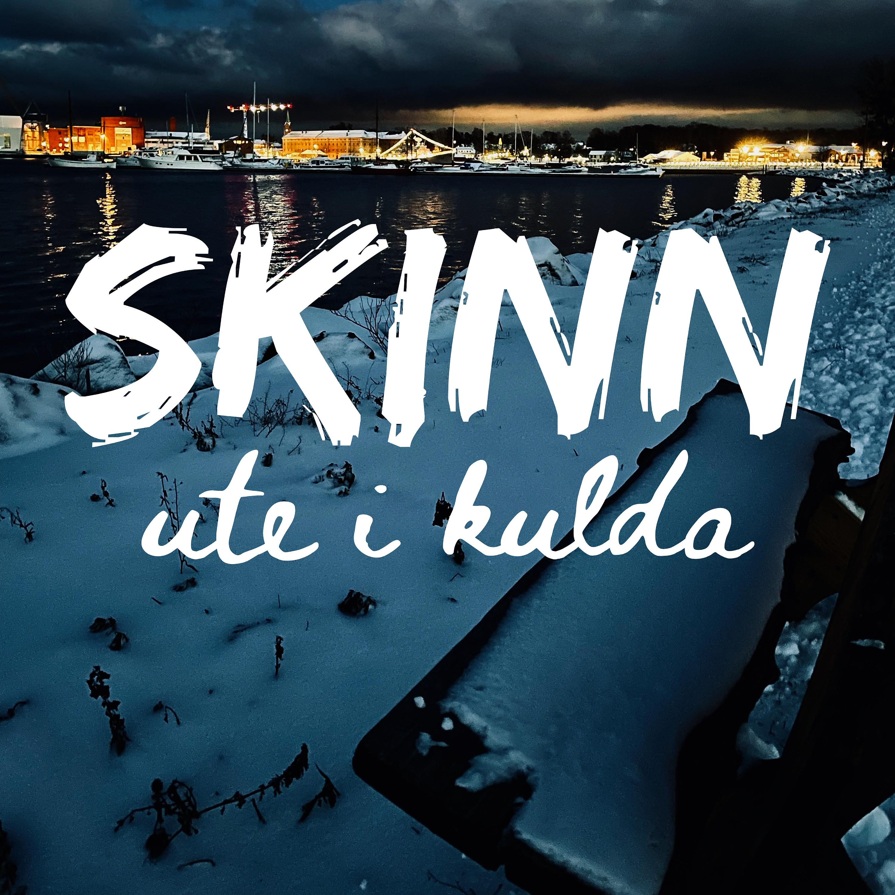 Постер альбома Ute i kulda
