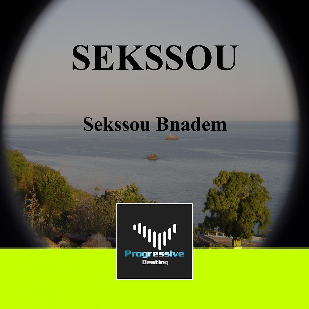 Постер альбома Sekssou