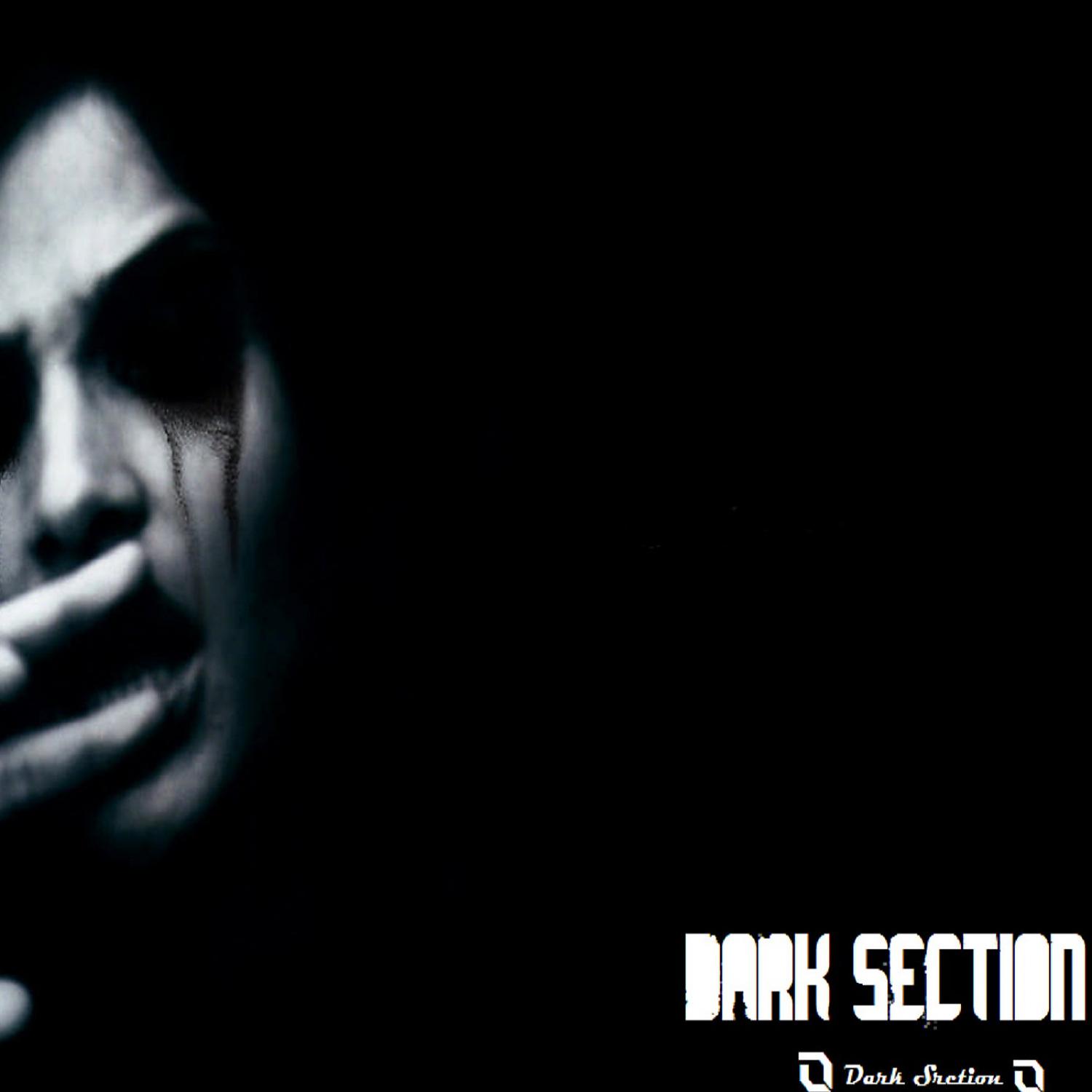 Постер альбома Dark Section
