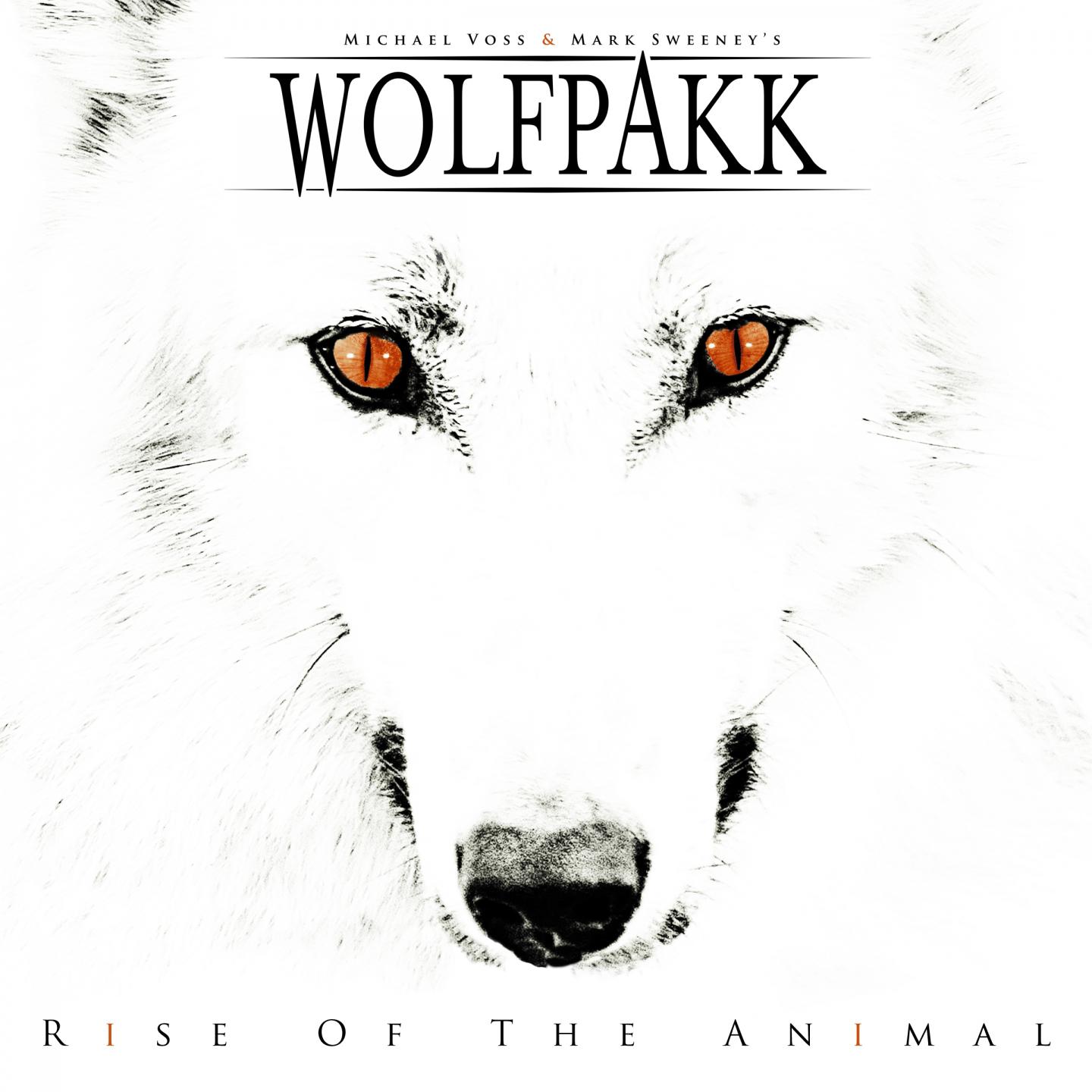 Постер альбома Rise of the Animal