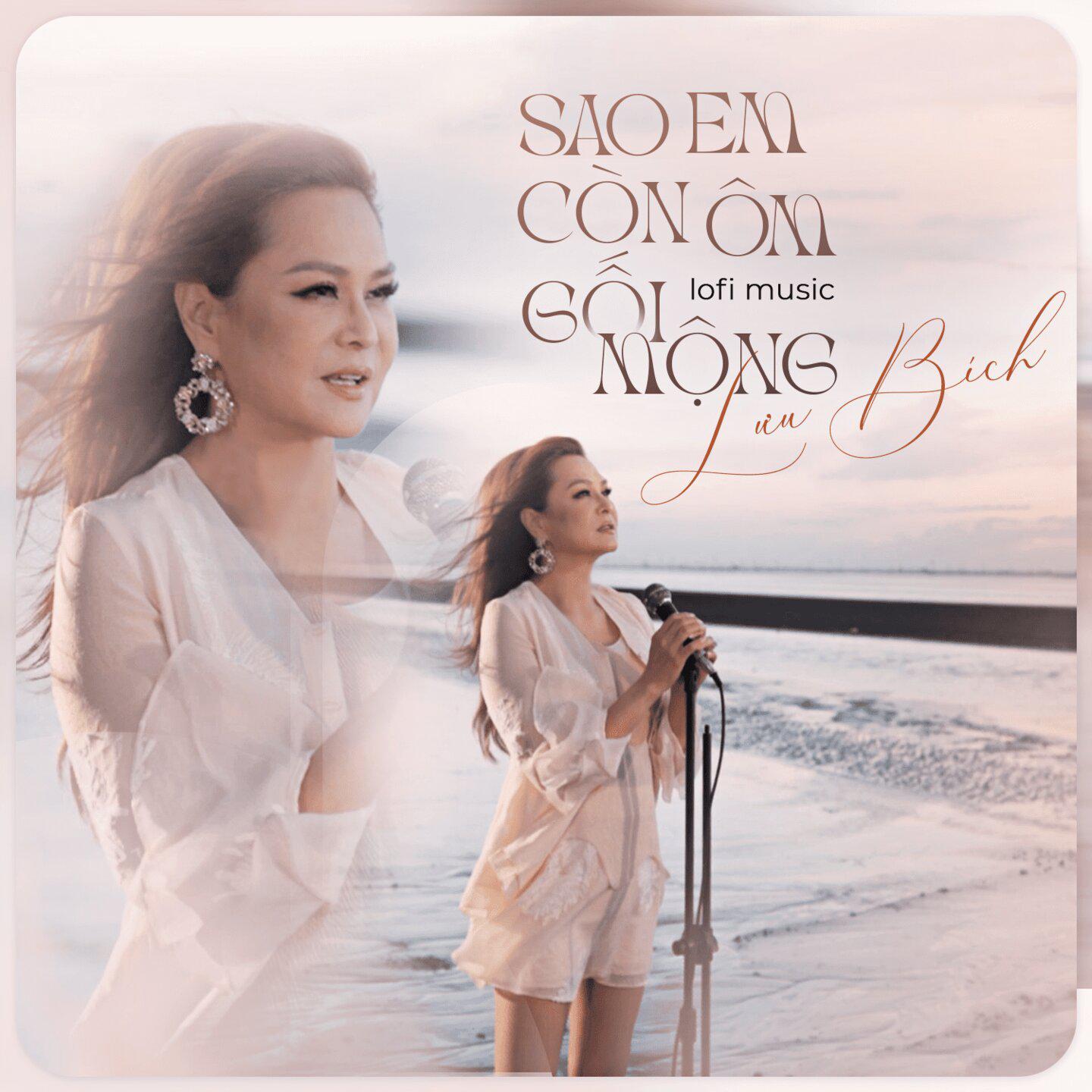 Постер альбома Sao Em Còn Ôm Gối Mộng