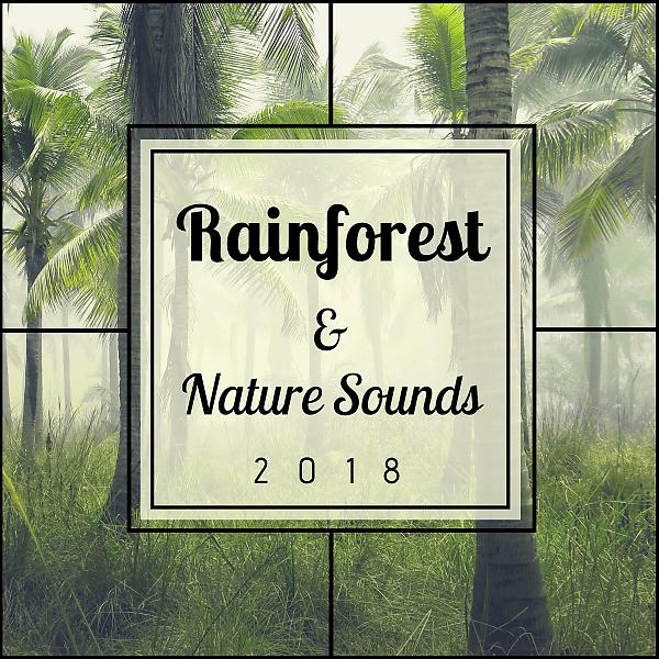 Постер альбома Rainforest & Nature Sounds 2018 - Relaxation with Rain Sounds and Relaxing Music