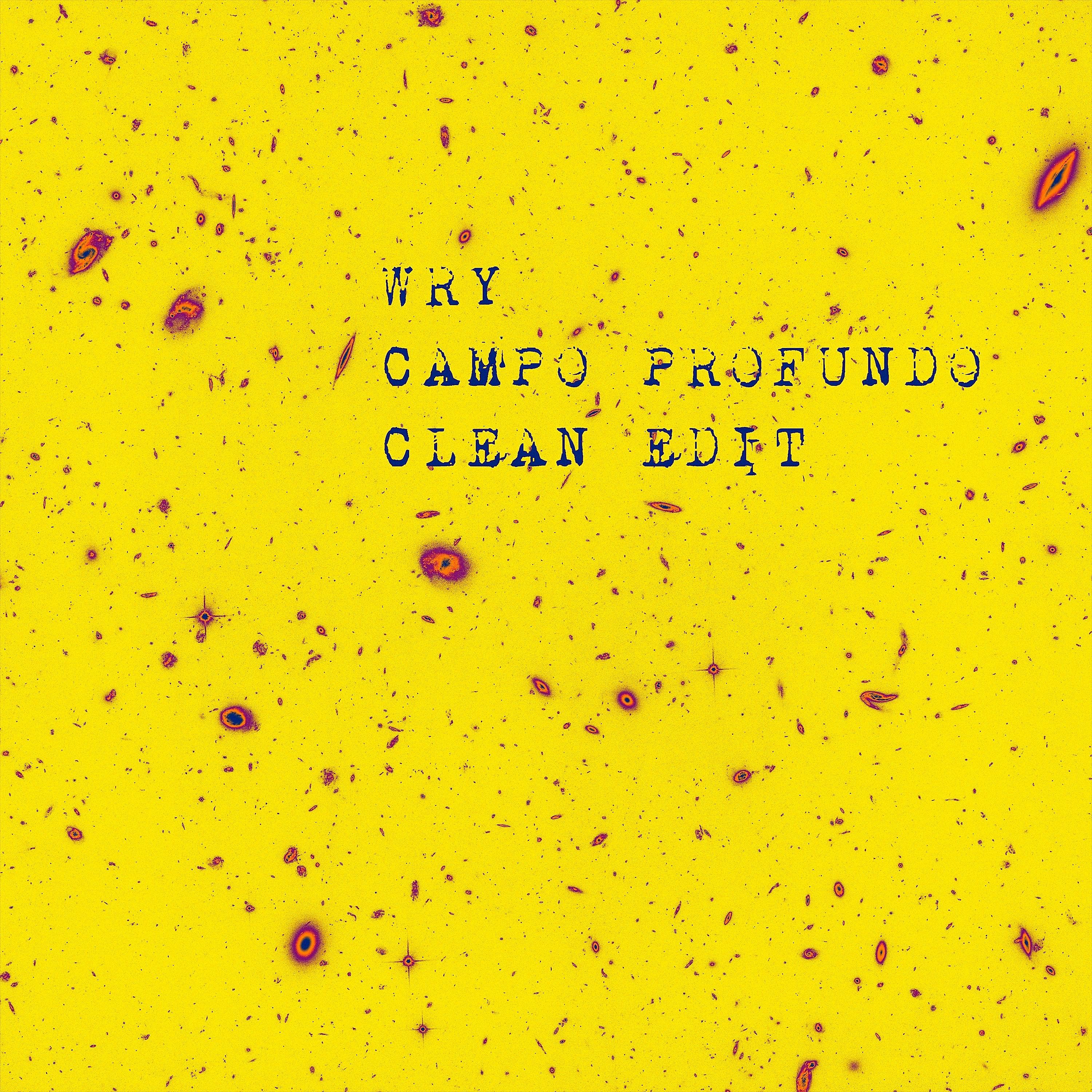 Постер альбома Campo Profundo