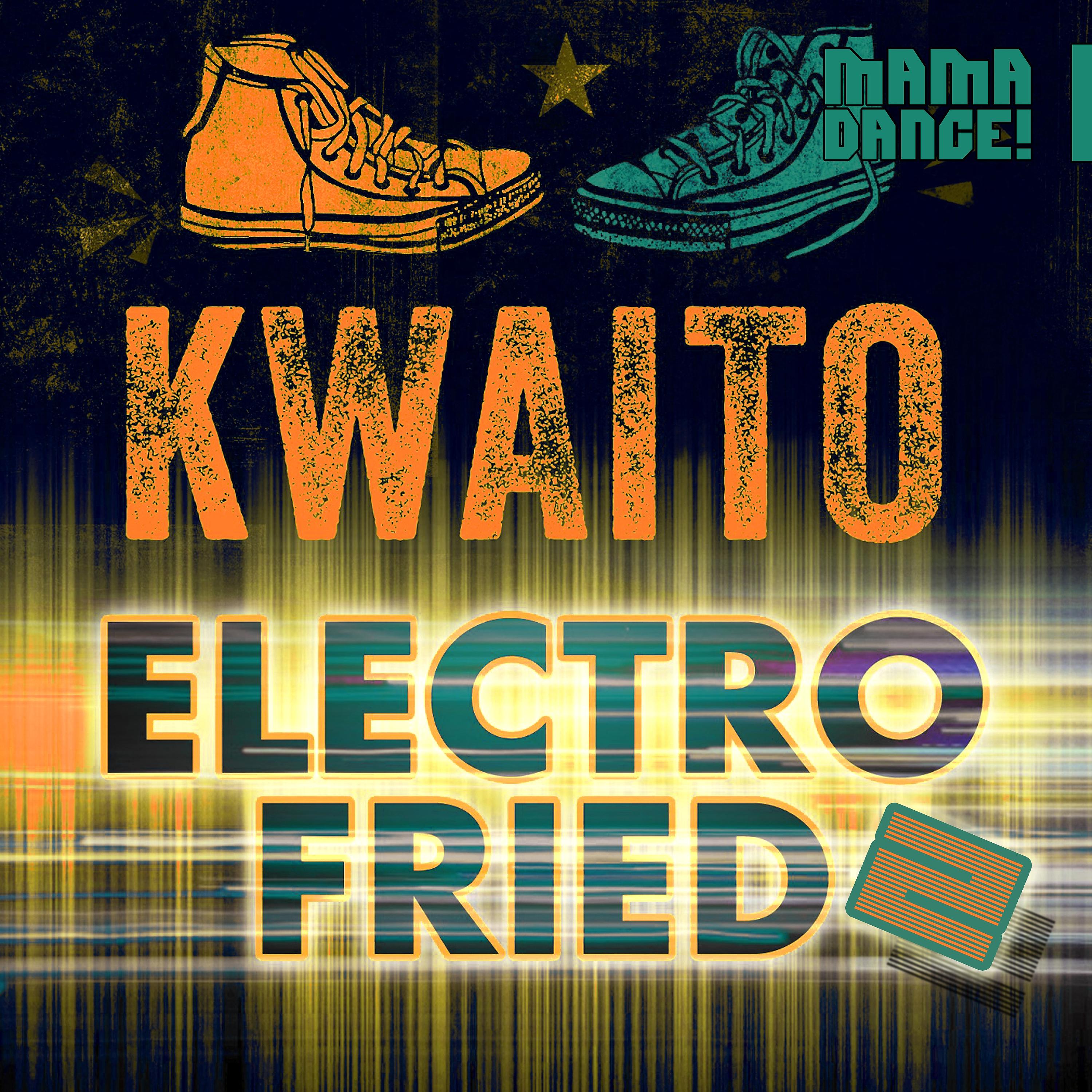 Постер альбома Kwaito Electrofried 2