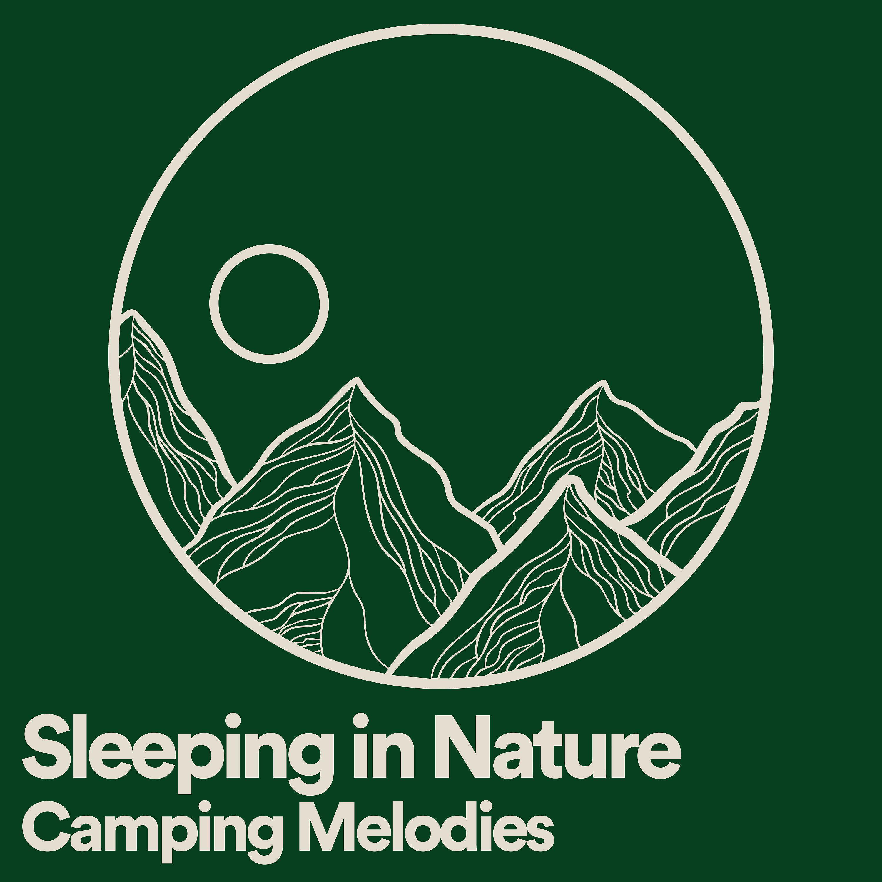 Постер альбома Sleeping in Nature Camping Melodies