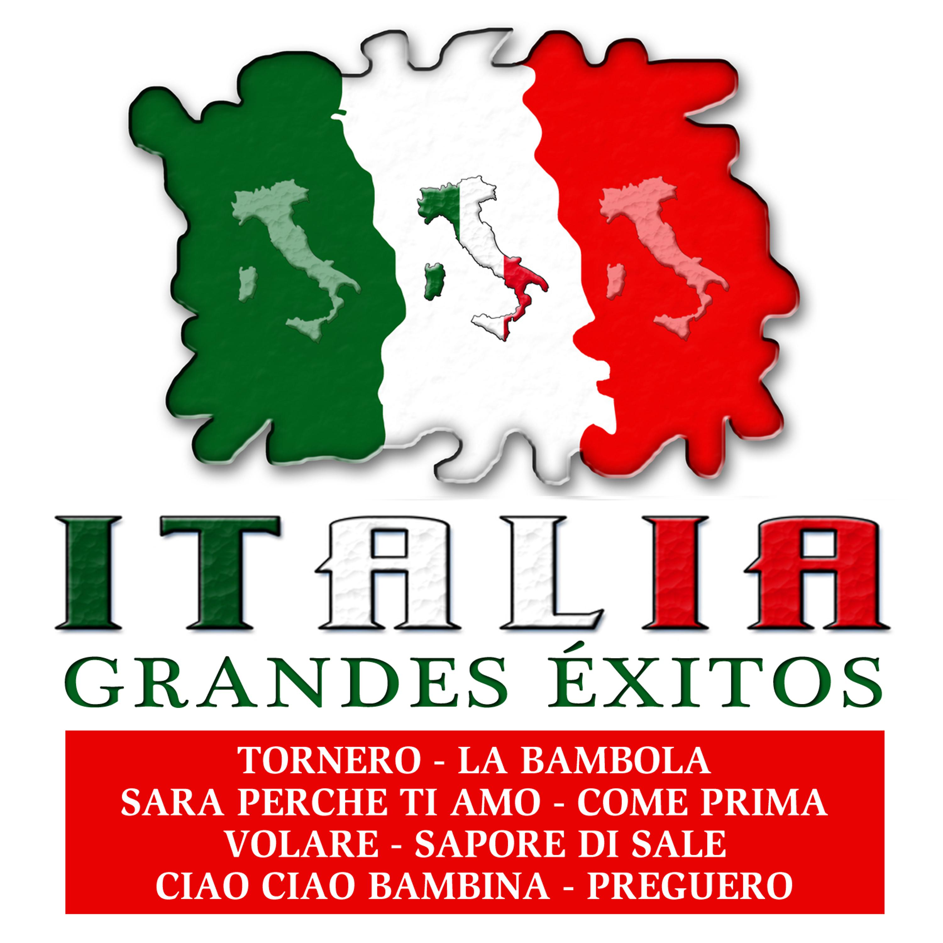 Постер альбома Italia - Grandes Exitos
