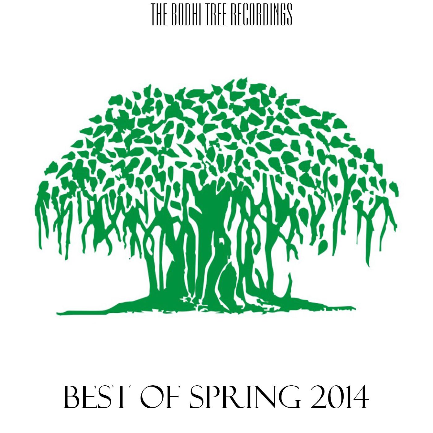 Постер альбома Best of Spring 2014