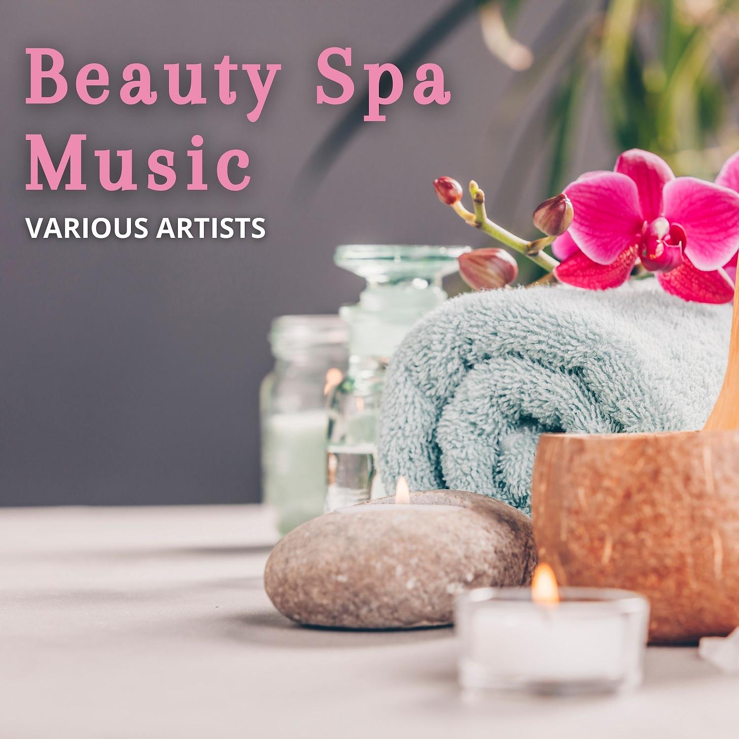 Постер альбома Beauty Spa Music