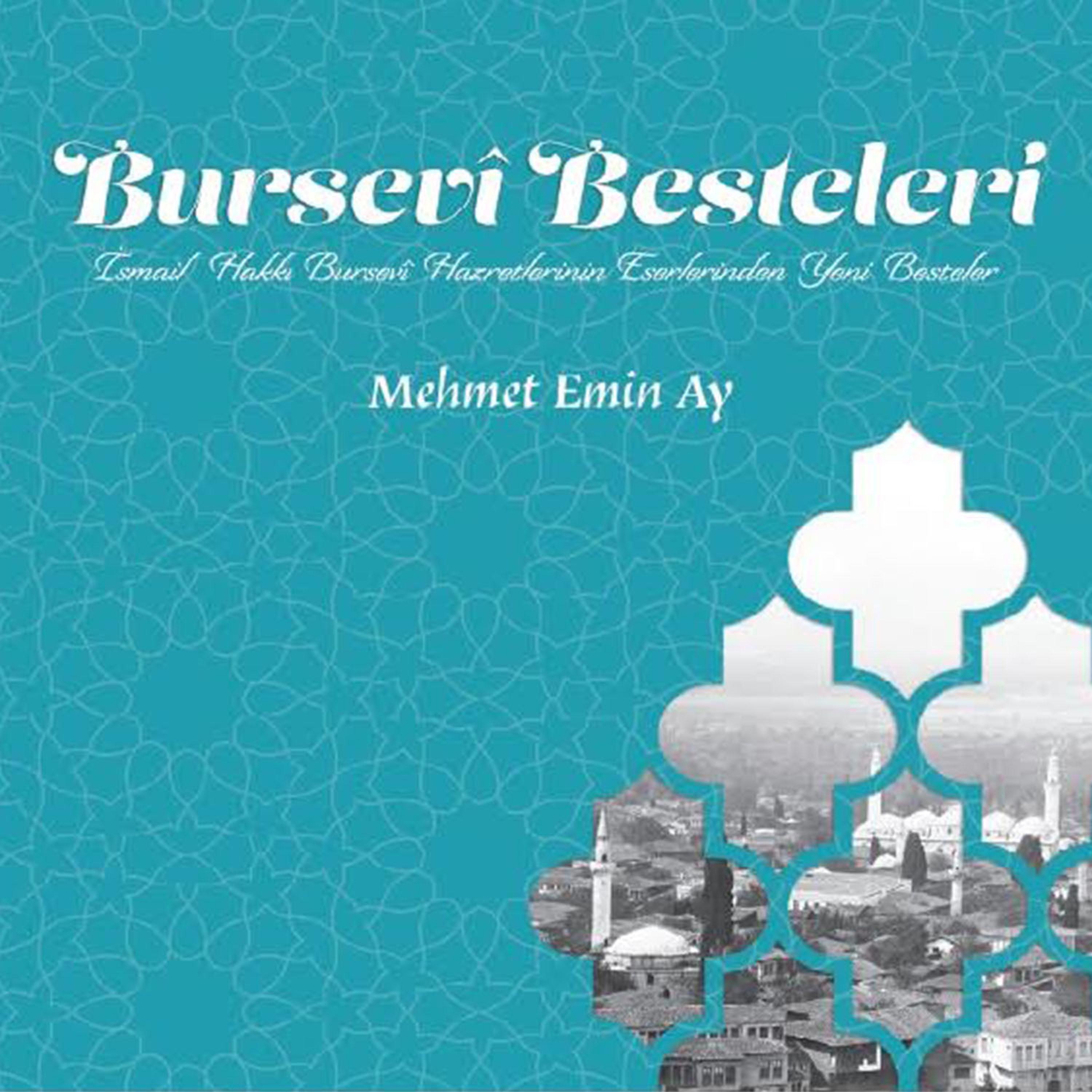 Постер альбома Bursevi Besteleri