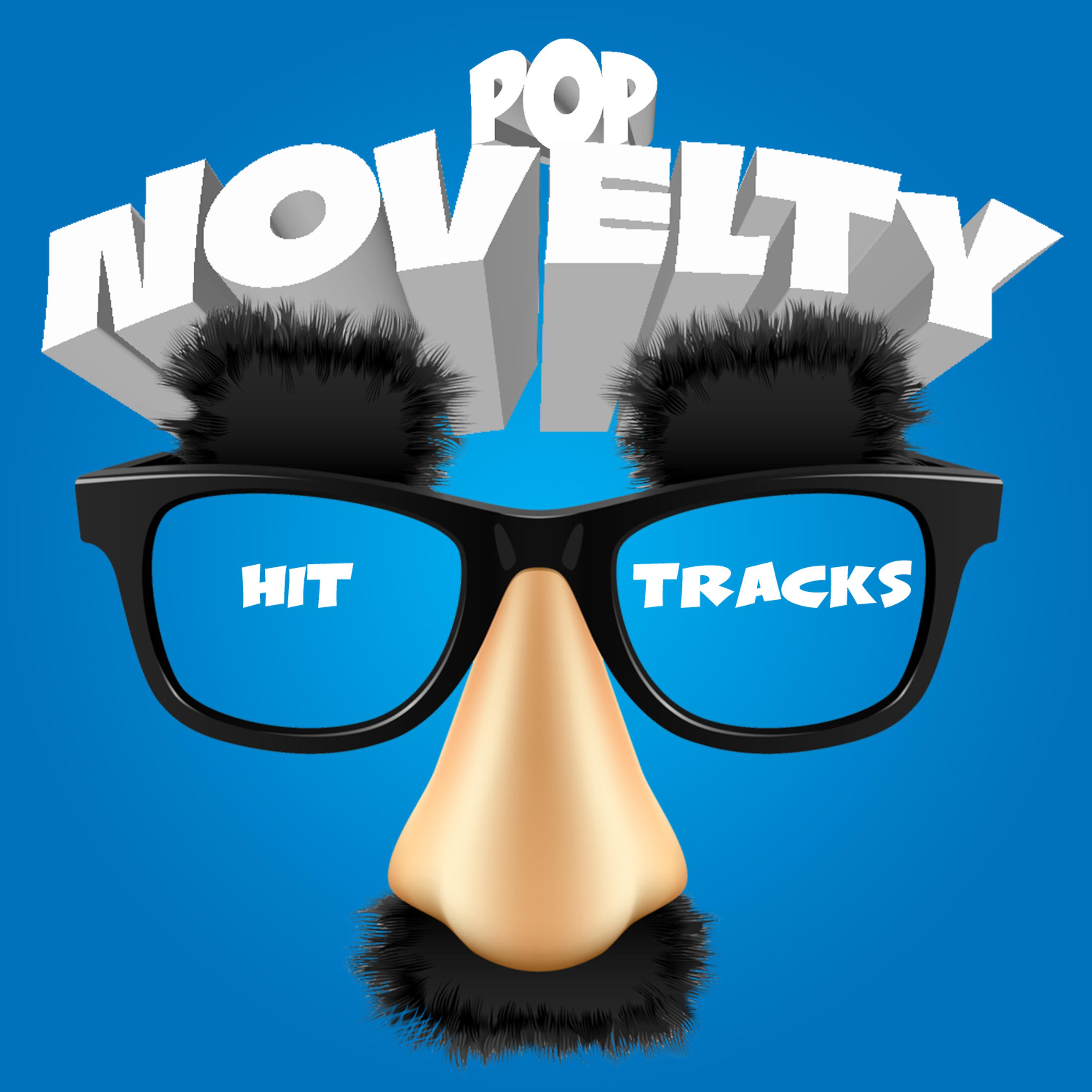 Постер альбома Pop Novelty Hit Tracks