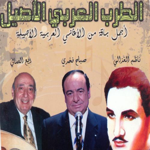 Постер альбома Attarab al arabi al assil