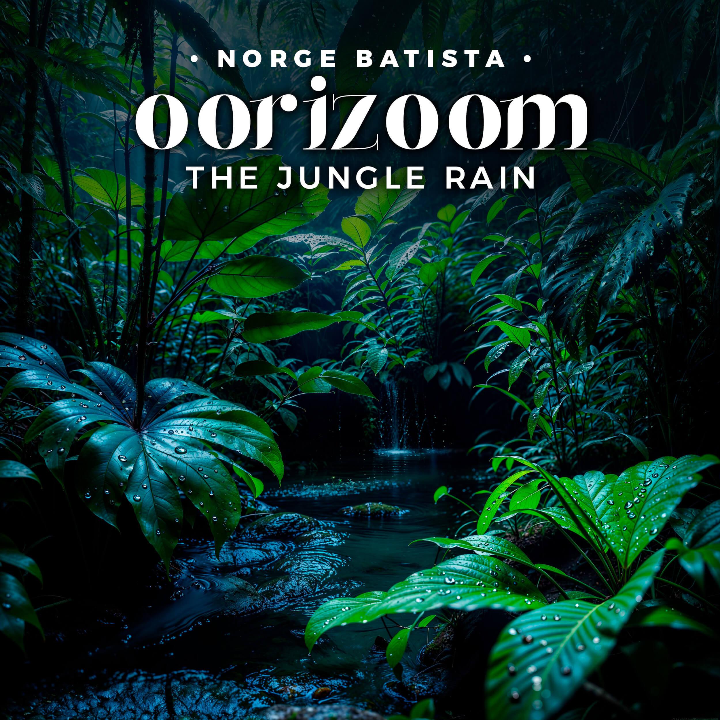 Постер альбома Oorizoom the Jungle Rain