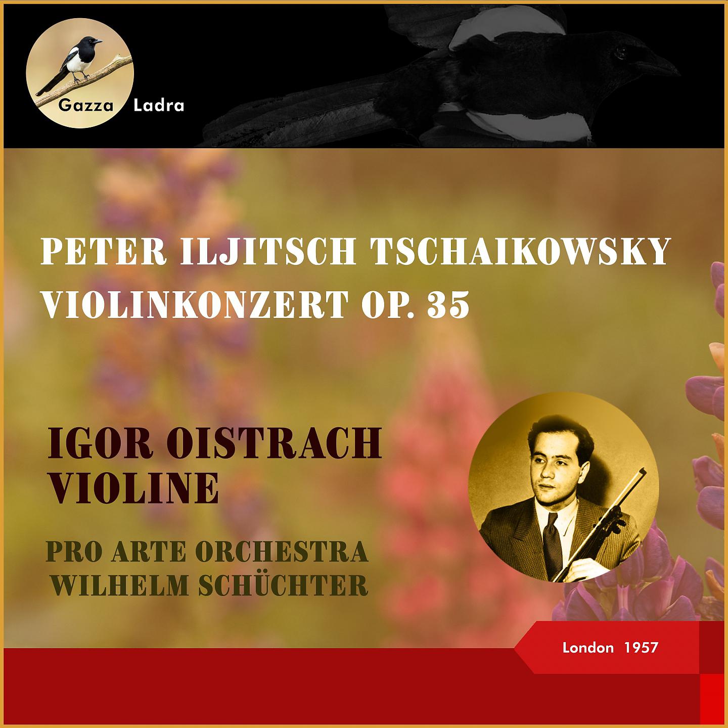 Постер альбома Pyotr Ilyich Tchaikovsky: Violinkonzert D-Dur Op. 35