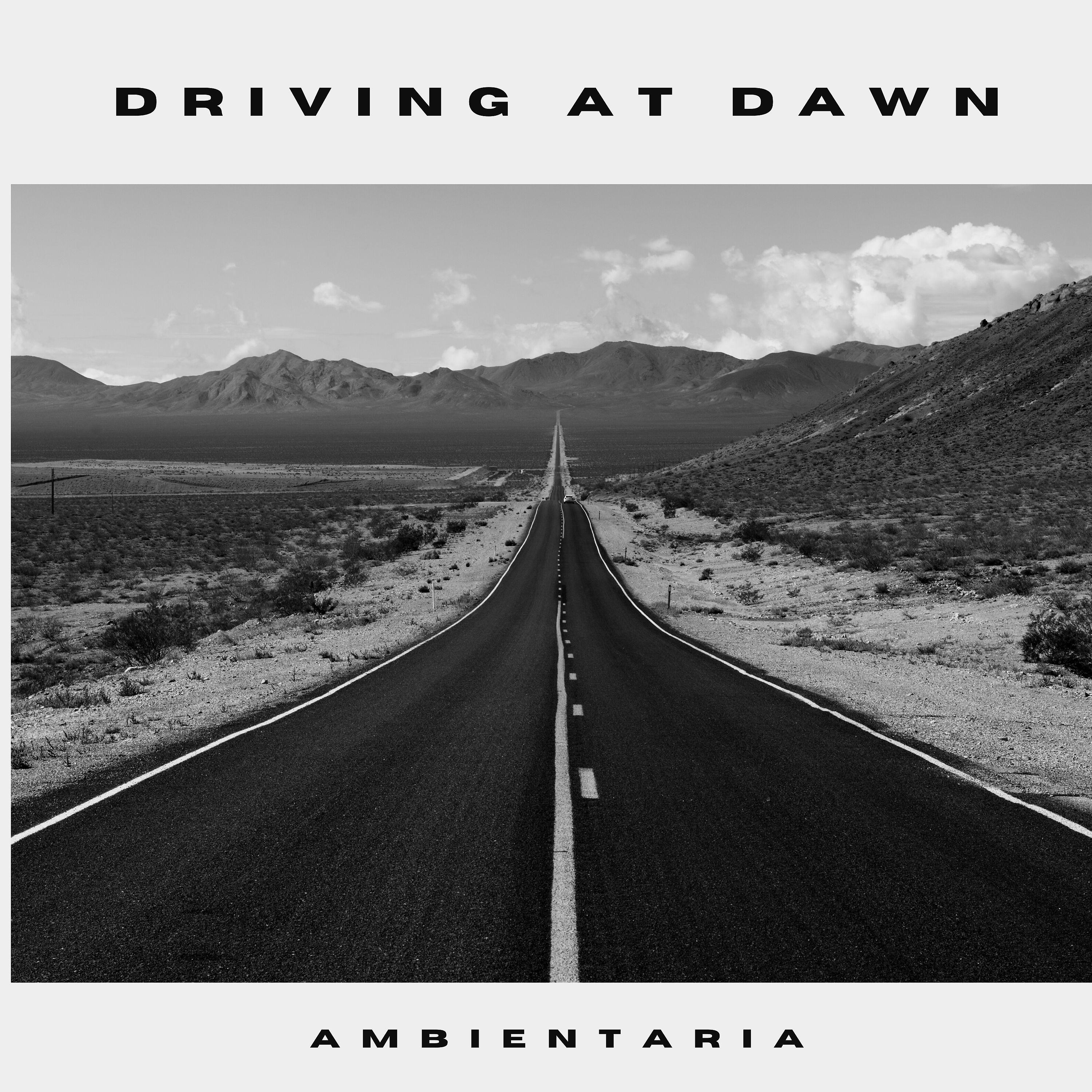 Постер альбома Driving at Dawn