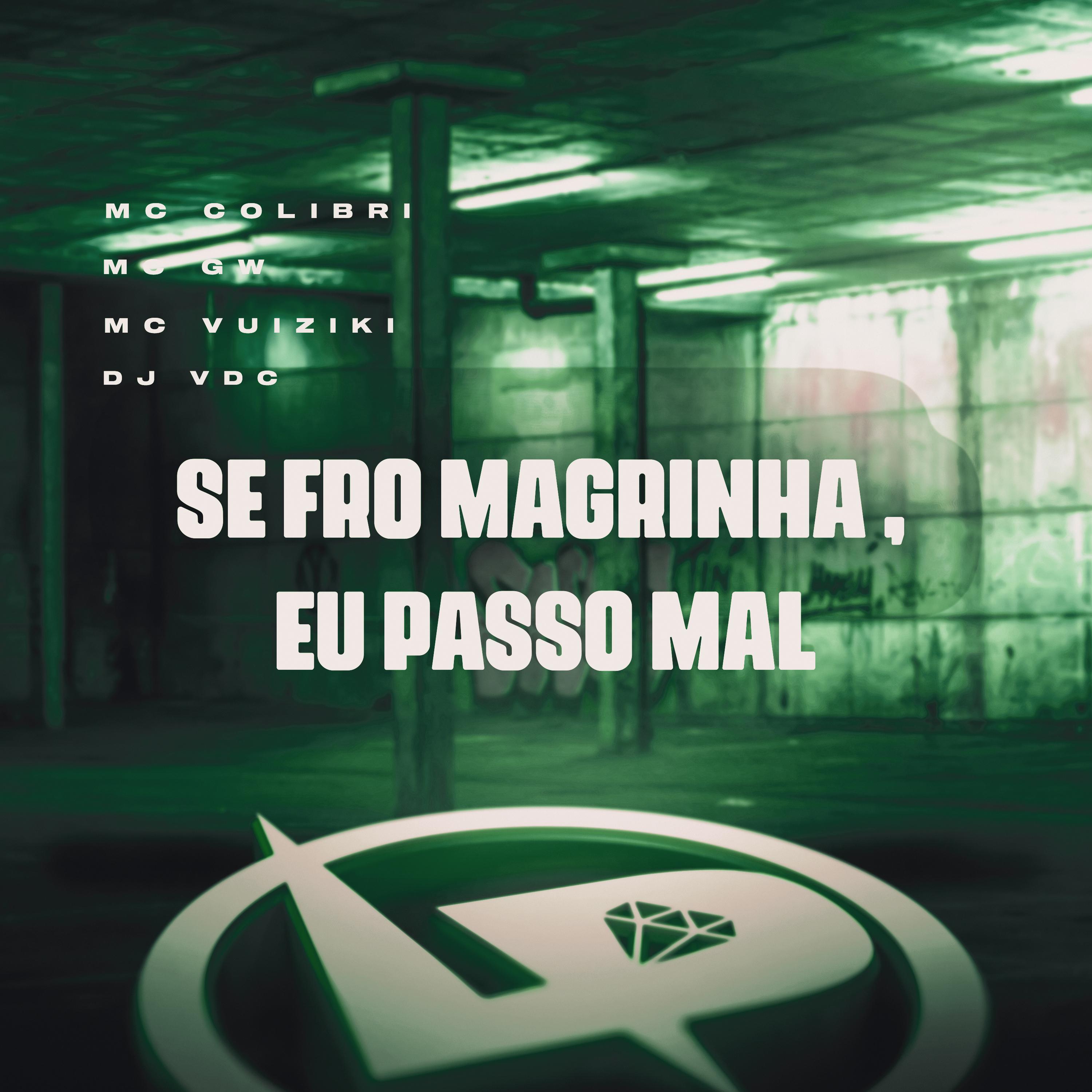 Постер альбома Se Fro Magrinha, Eu Passo Mal