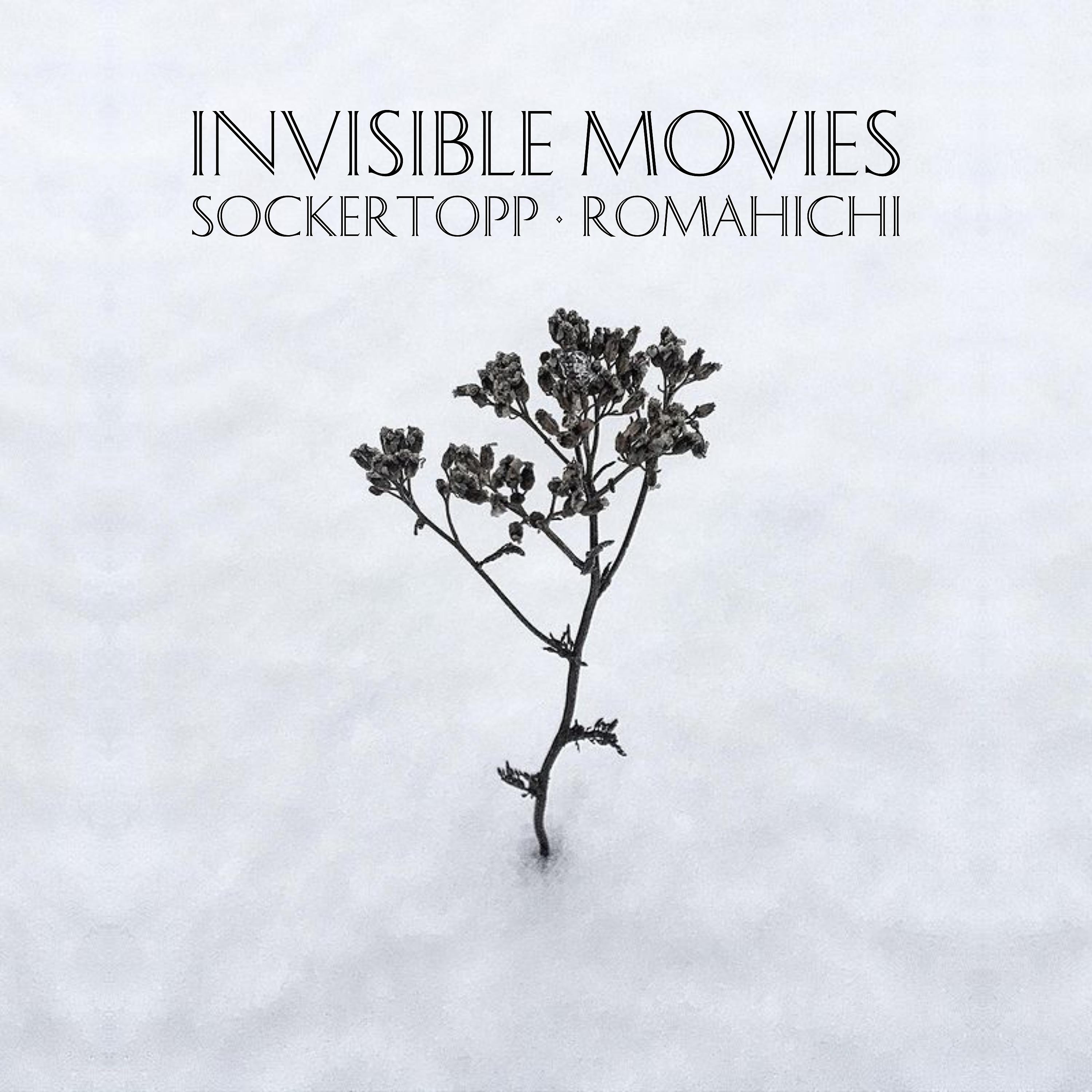 Постер альбома Invisible Movies