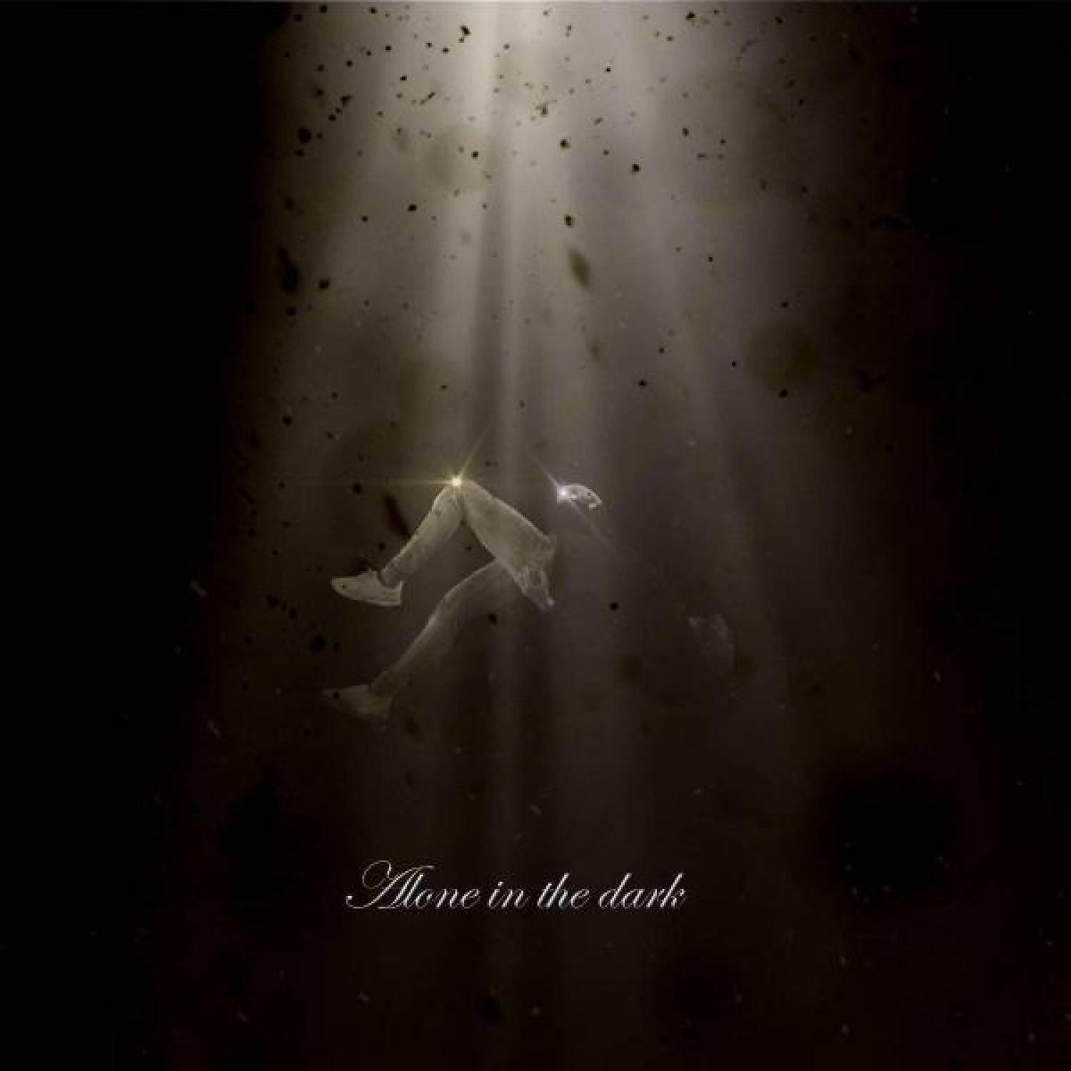 Постер альбома Alone in the dark