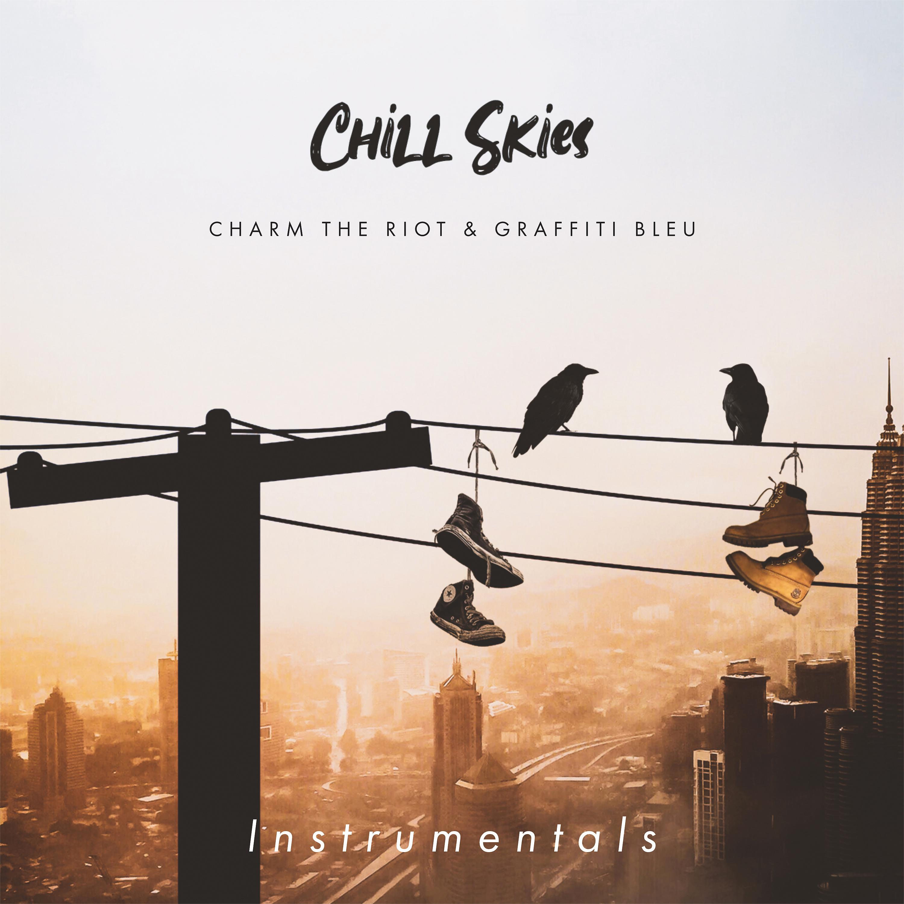 Постер альбома Chill Skies (Instrumental)