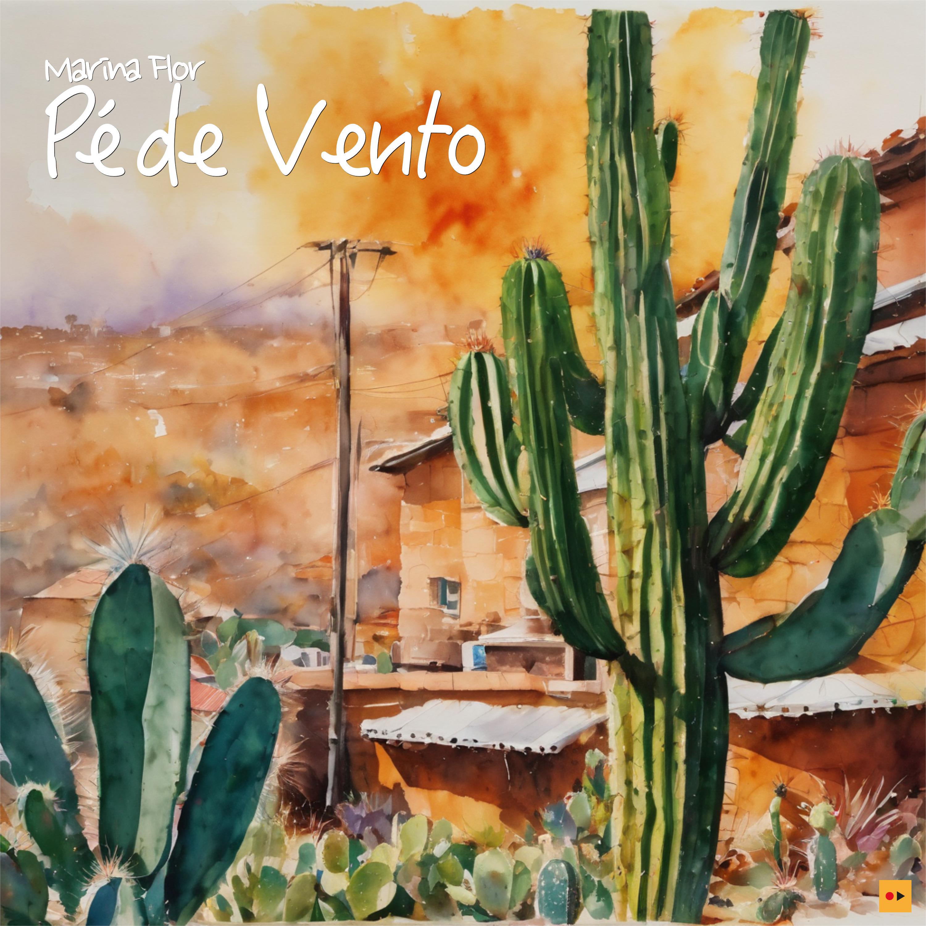 Постер альбома Pé de Vento