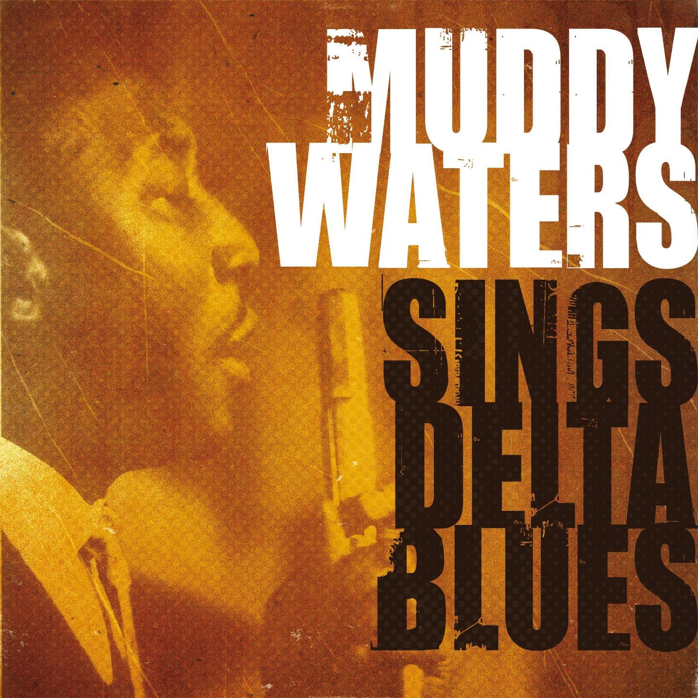Постер альбома Muddy Waters Sings Delta Blues
